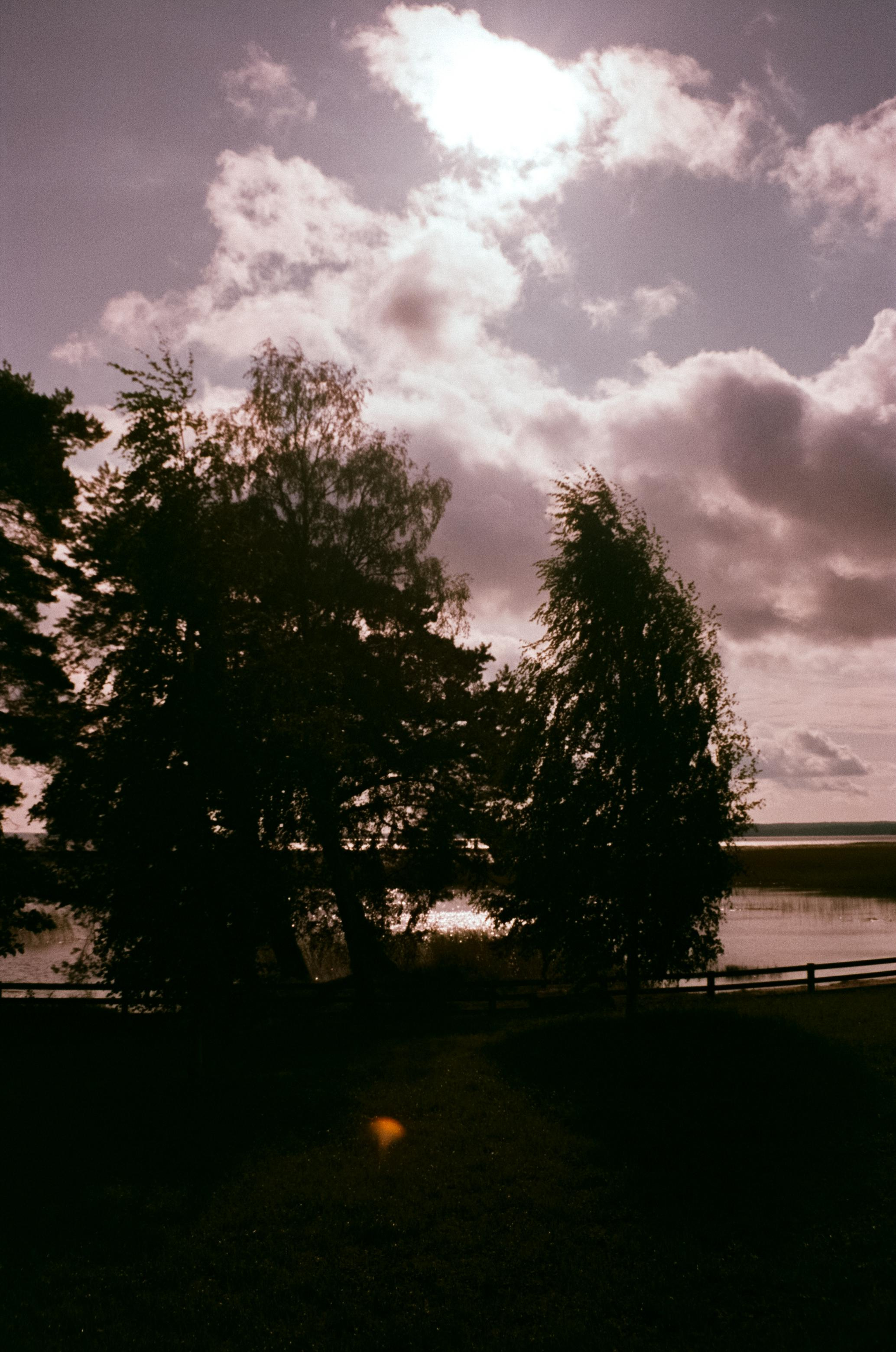 Озеро Отрадное, снятое на просроченную пленку