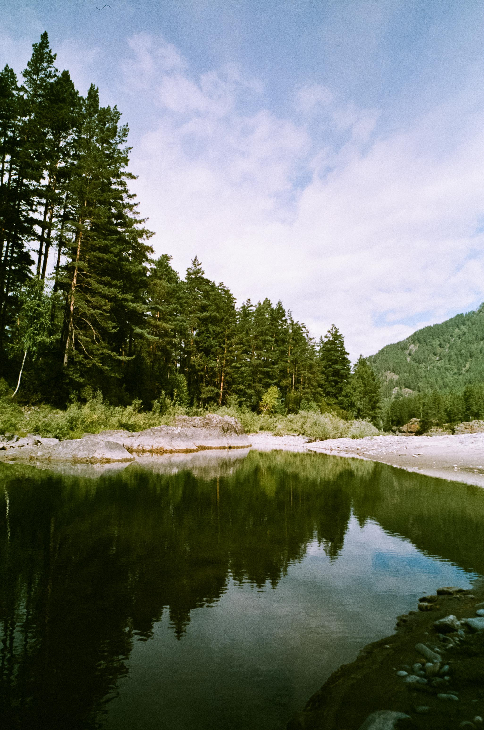 Катуньские ванночки / Agfacolor pro 200 (просрочка) / Contax G1 Carl Z