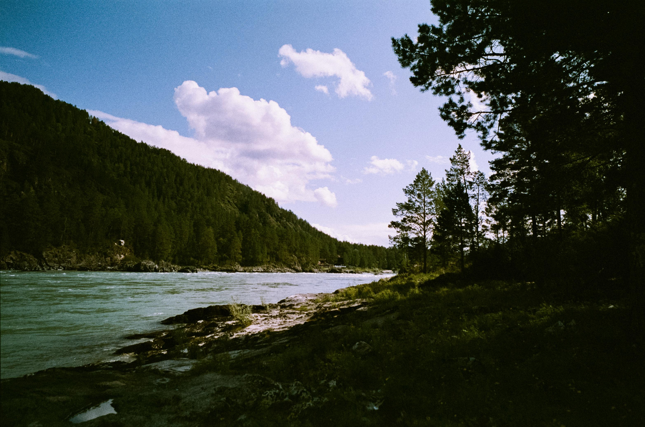 Катуньские ванночки / Agfacolor pro 200 (просрочка) / Contax G1 Carl Z