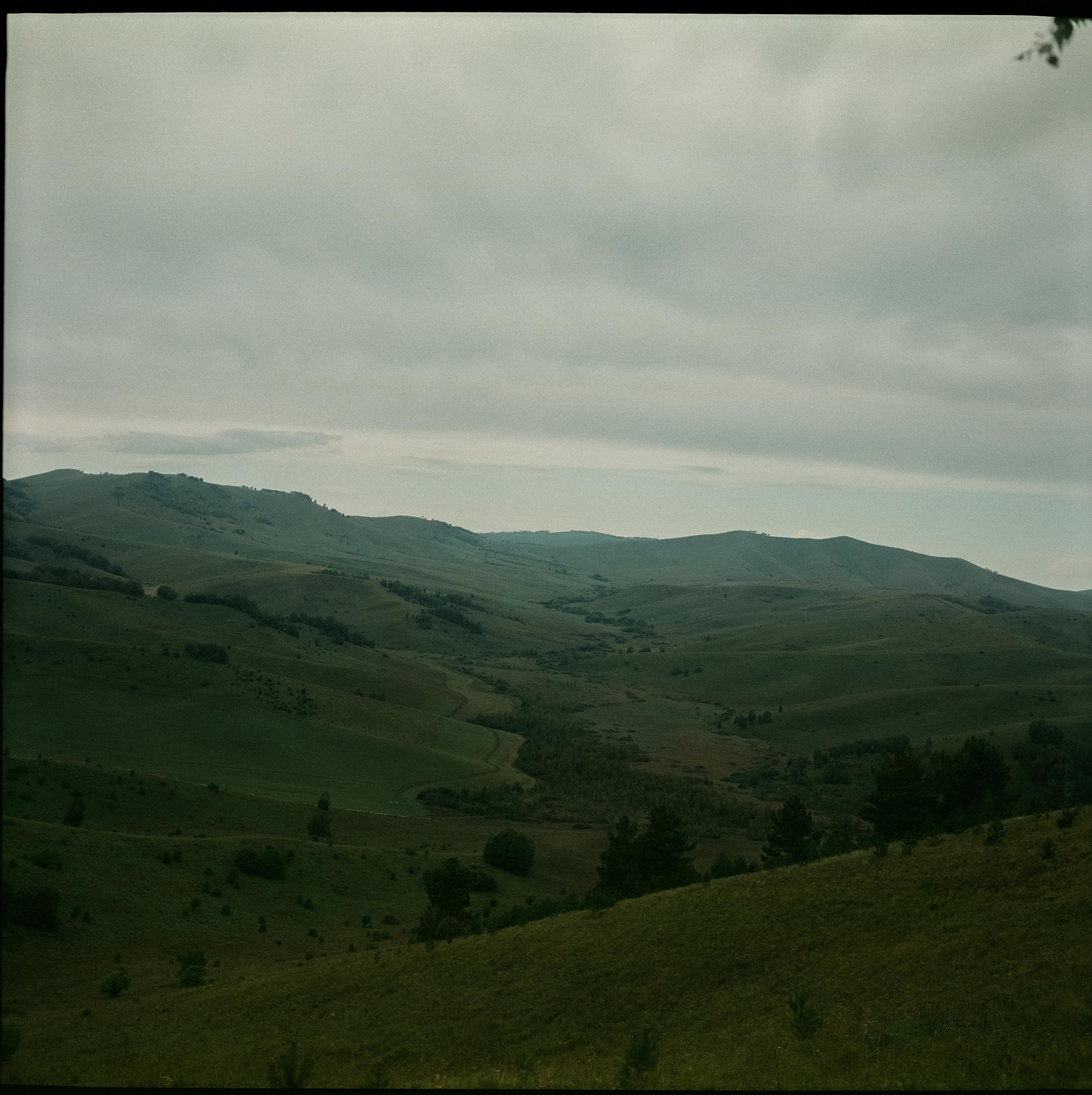 Чемальский тракт / Super Fujica-6 / Fujifilm NPL 160