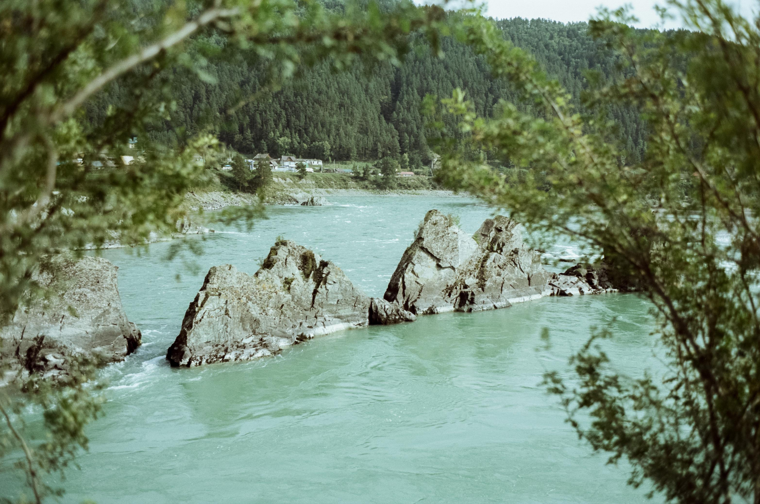 Отпуск на Алтае, Манжерок, р. Катунь в сентябре 2023 года