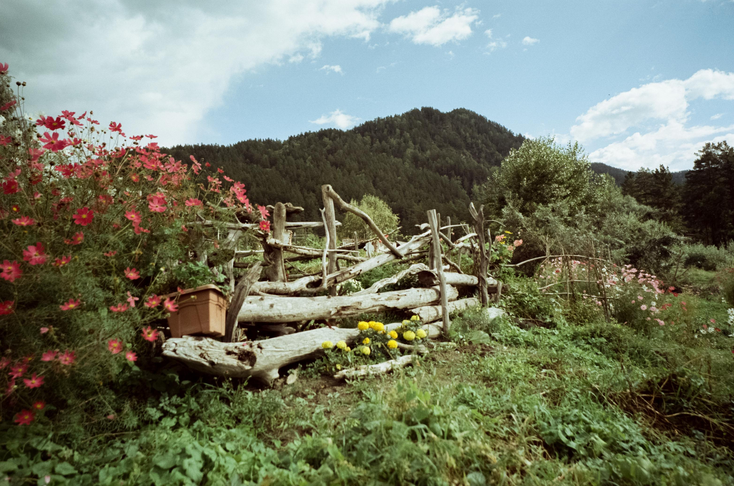 Зубы Дракона, Чемальский тракт