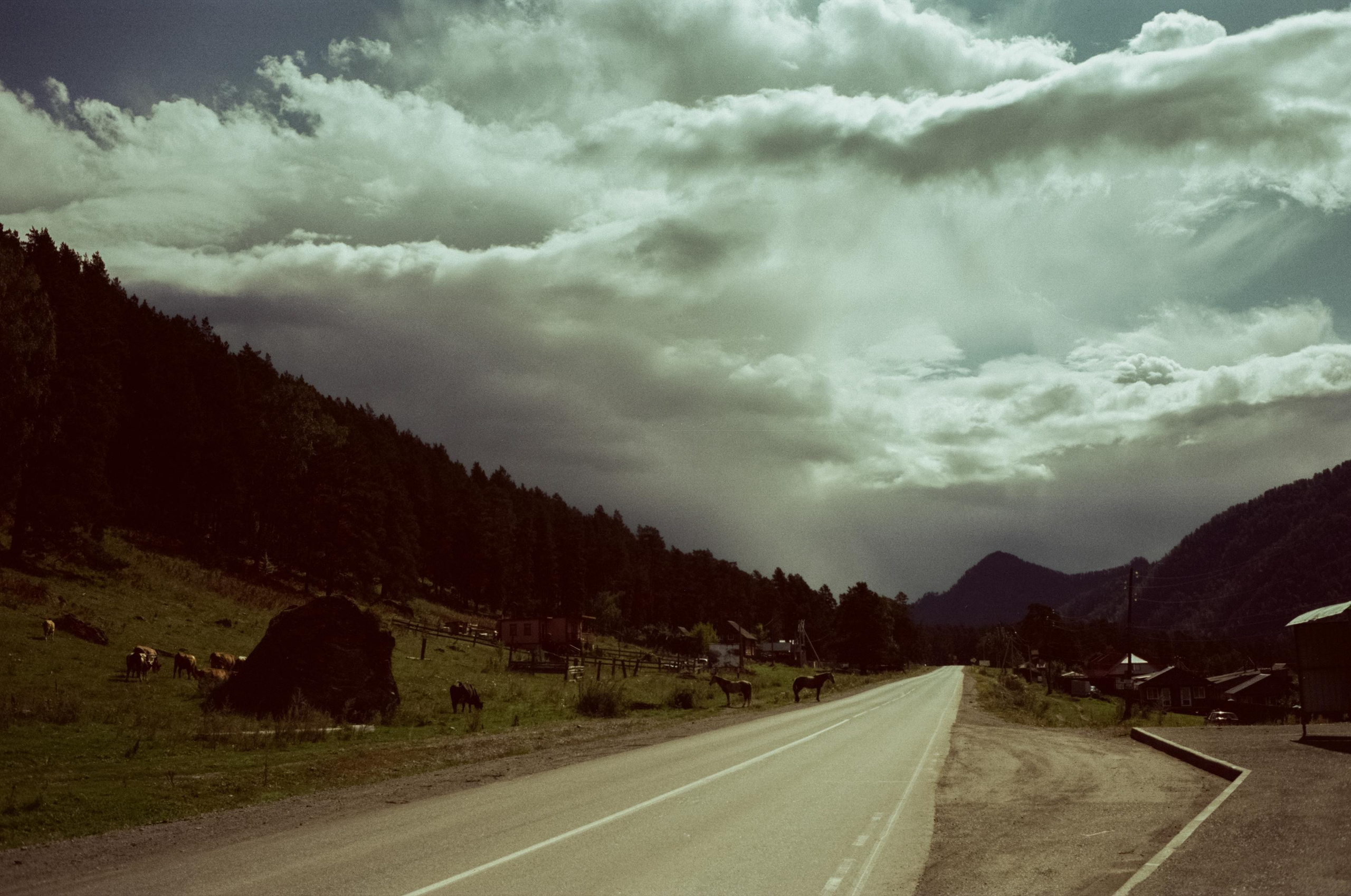 Самые красивые места Чемальского тракта на фотопленку