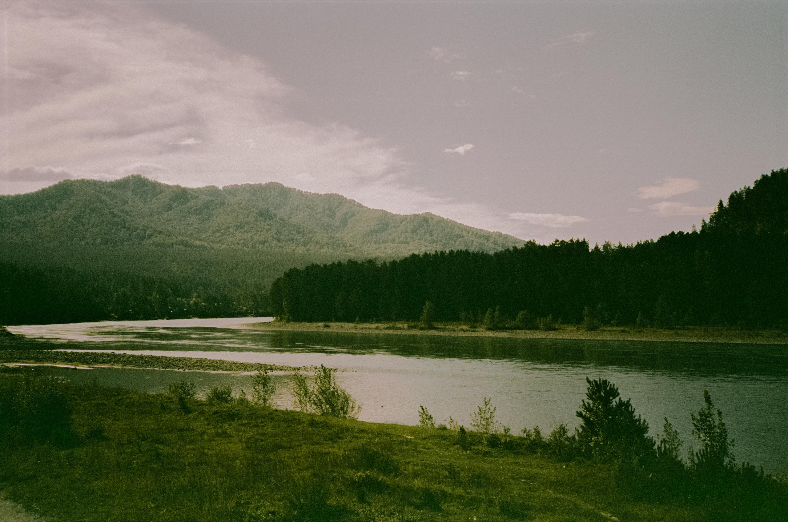 Кедровый Остров, река Катунь, база Бережок