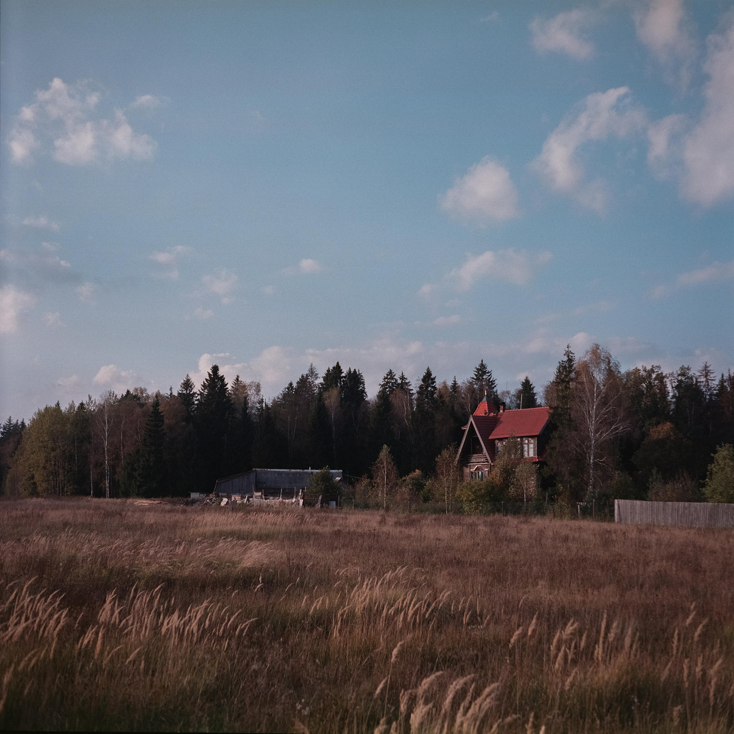 Проверка нового Super Fujica-6 с пленкой Fujifilm NPL 160