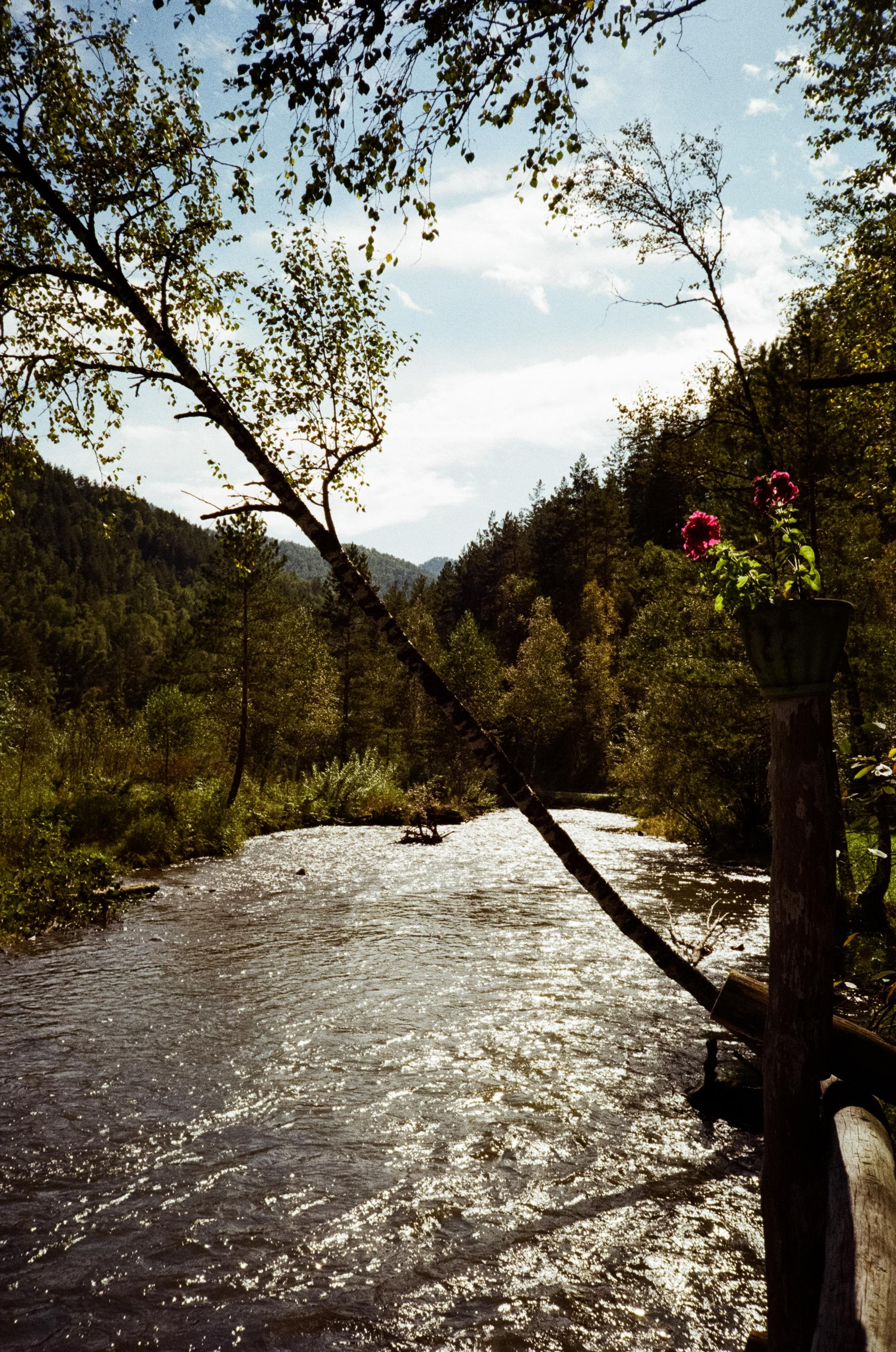 Примеры фотографий Алтай на фотопленку