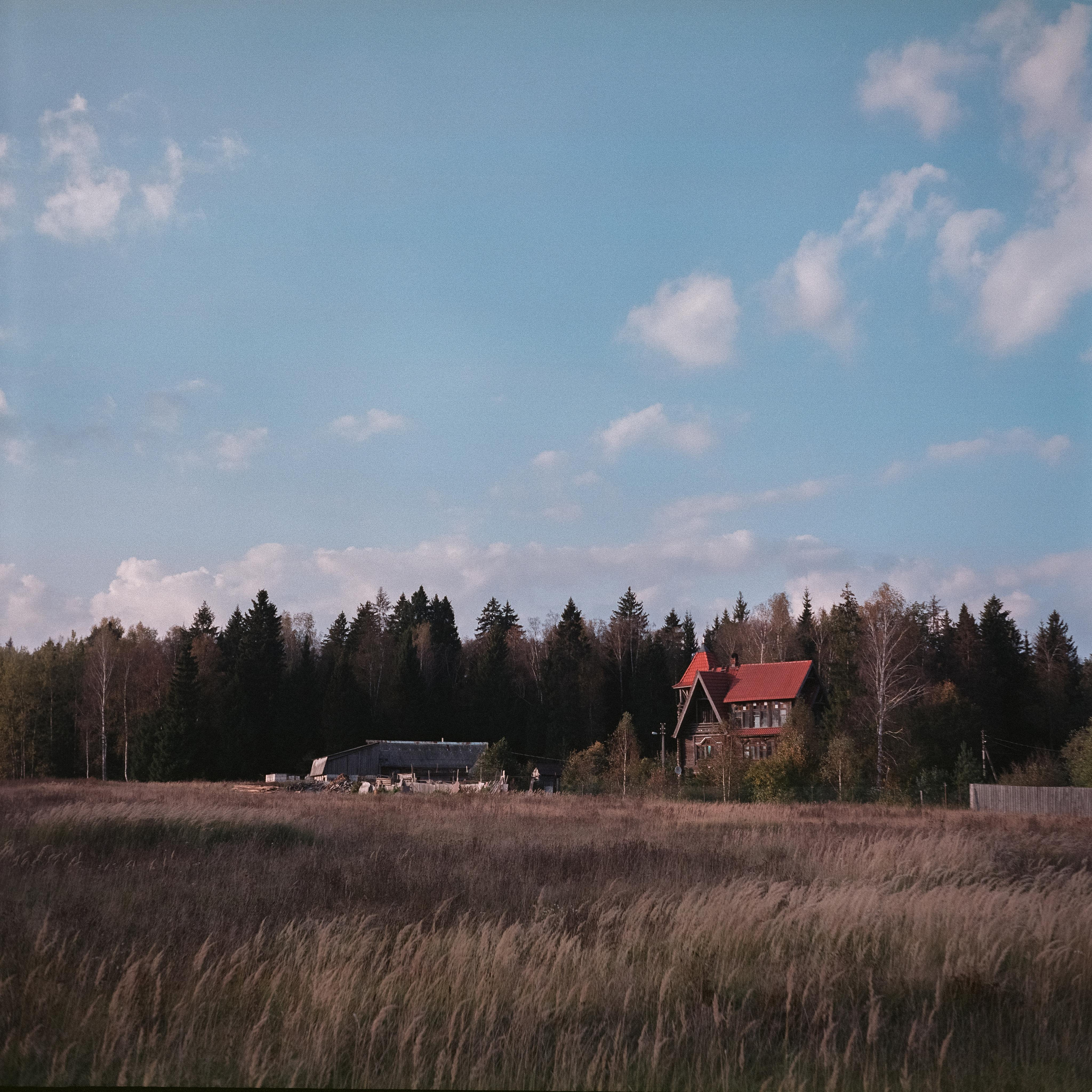 Проверка нового Super Fujica-6 с пленкой Fujifilm NPL 160