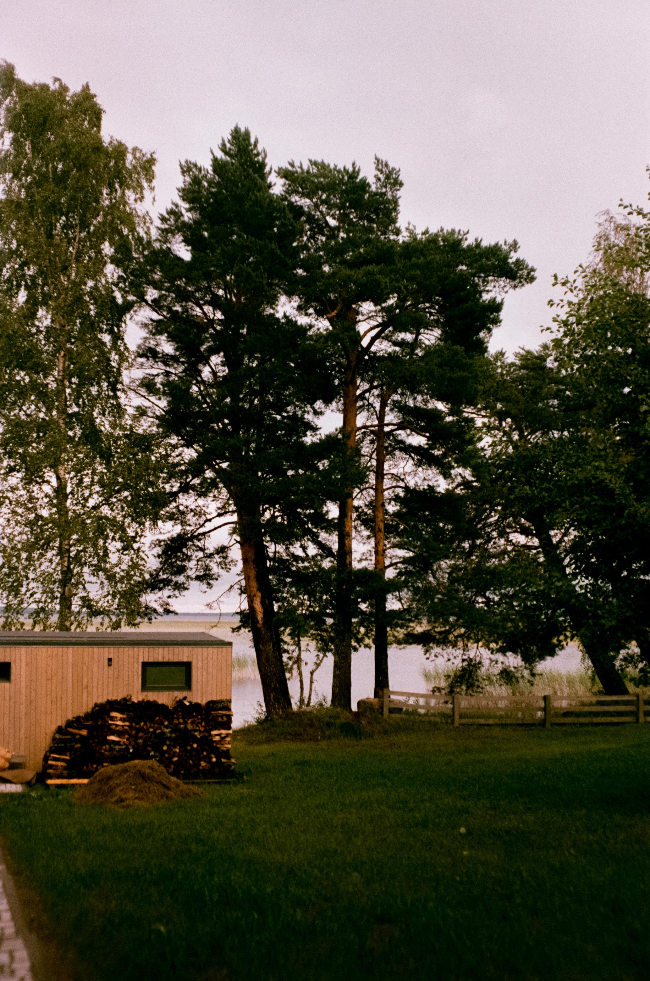 Озеро Отрадное, снятое на просроченную пленку