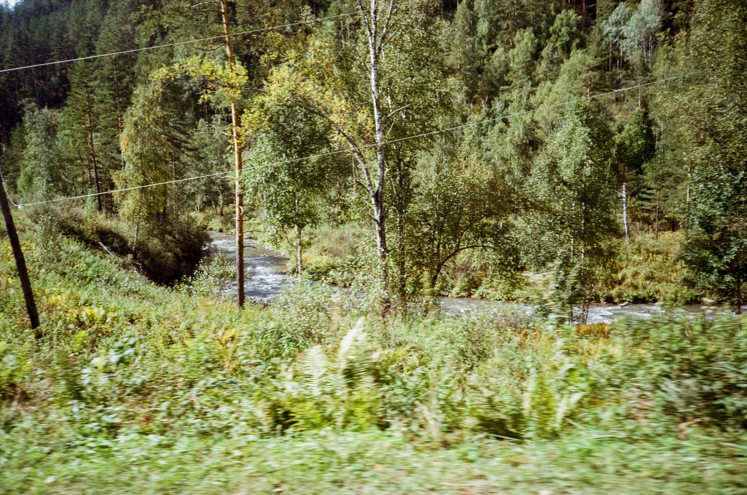 Примеры фотографий Алтай на фотопленку