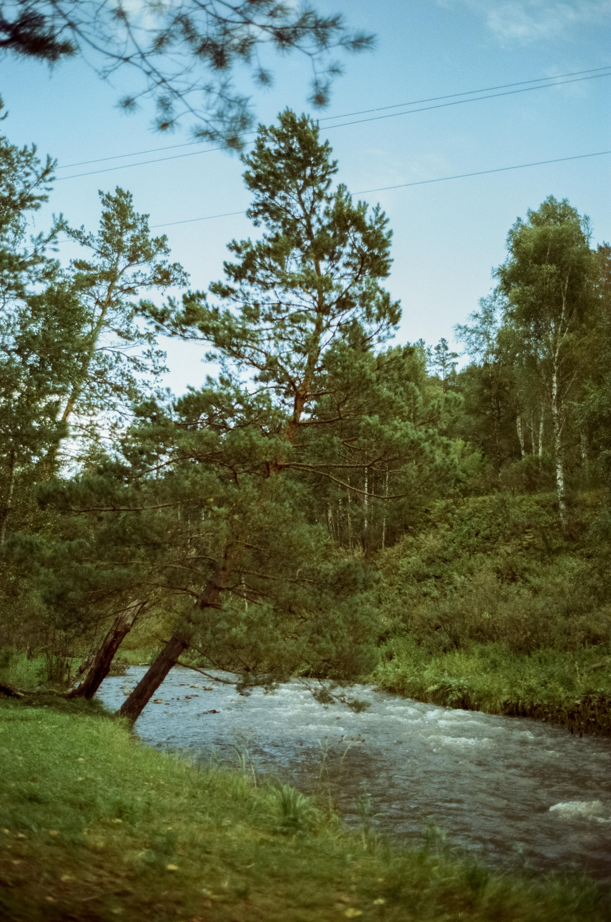 Самые красивые места Чемальского тракта на фотопленку