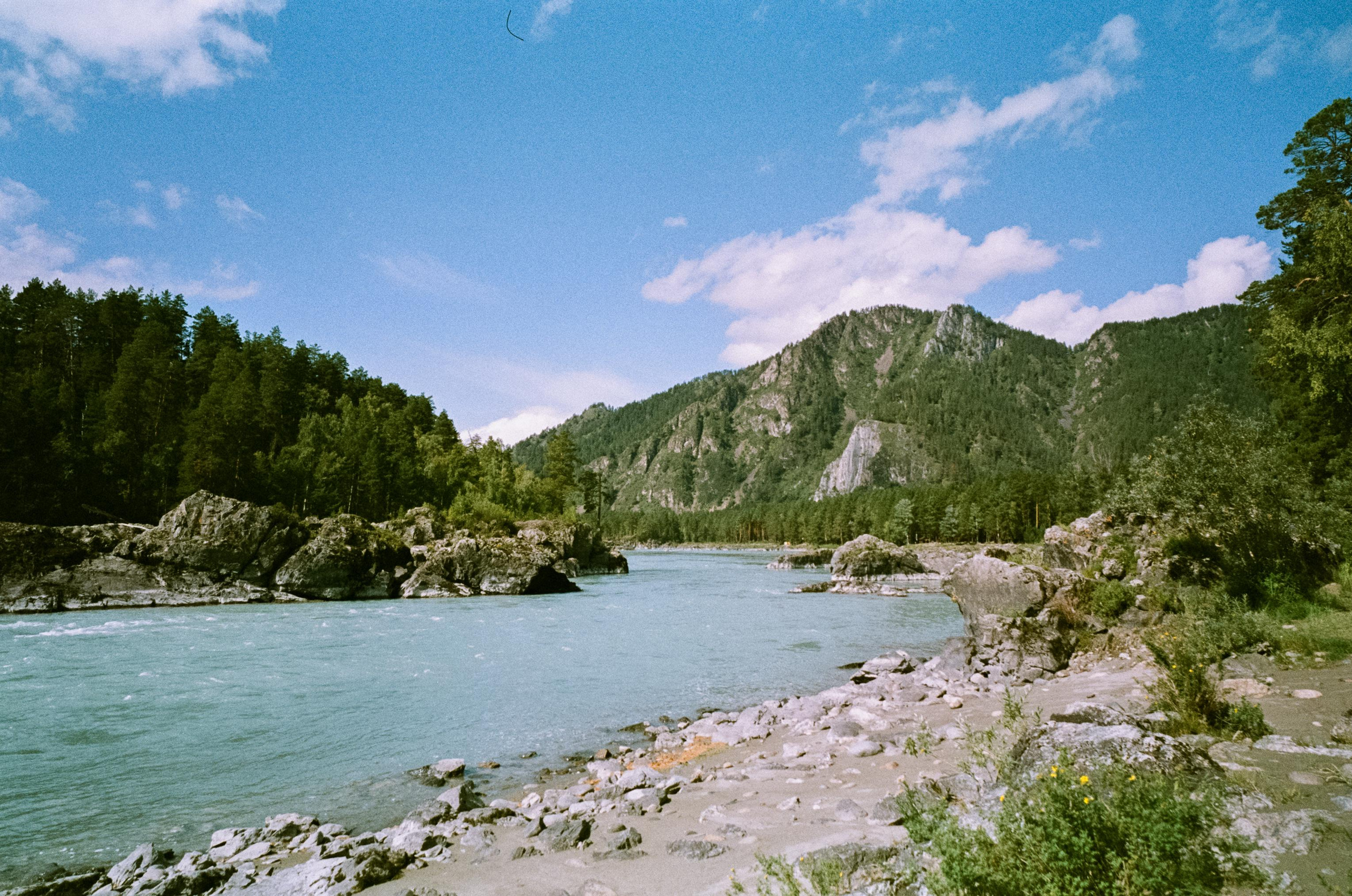 Катуньские ванночки / Agfacolor pro 200 (просрочка) / Contax G1 Carl Z