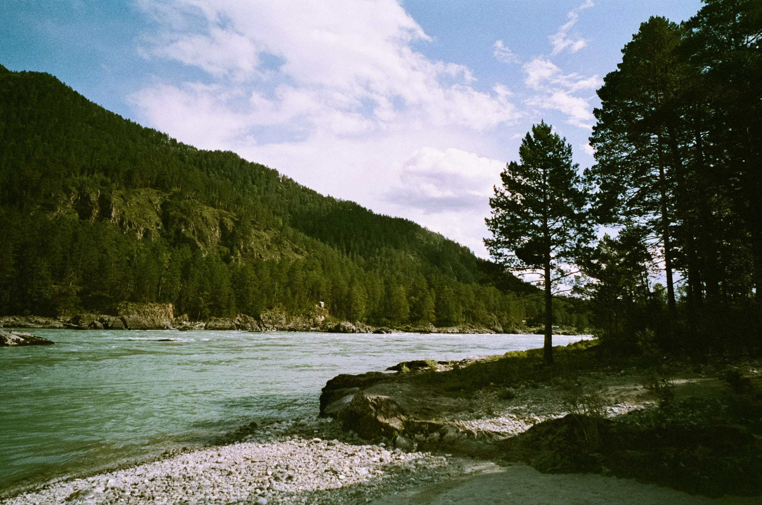 Катуньские ванночки / Agfacolor pro 200 (просрочка) / Contax G1 Carl Z