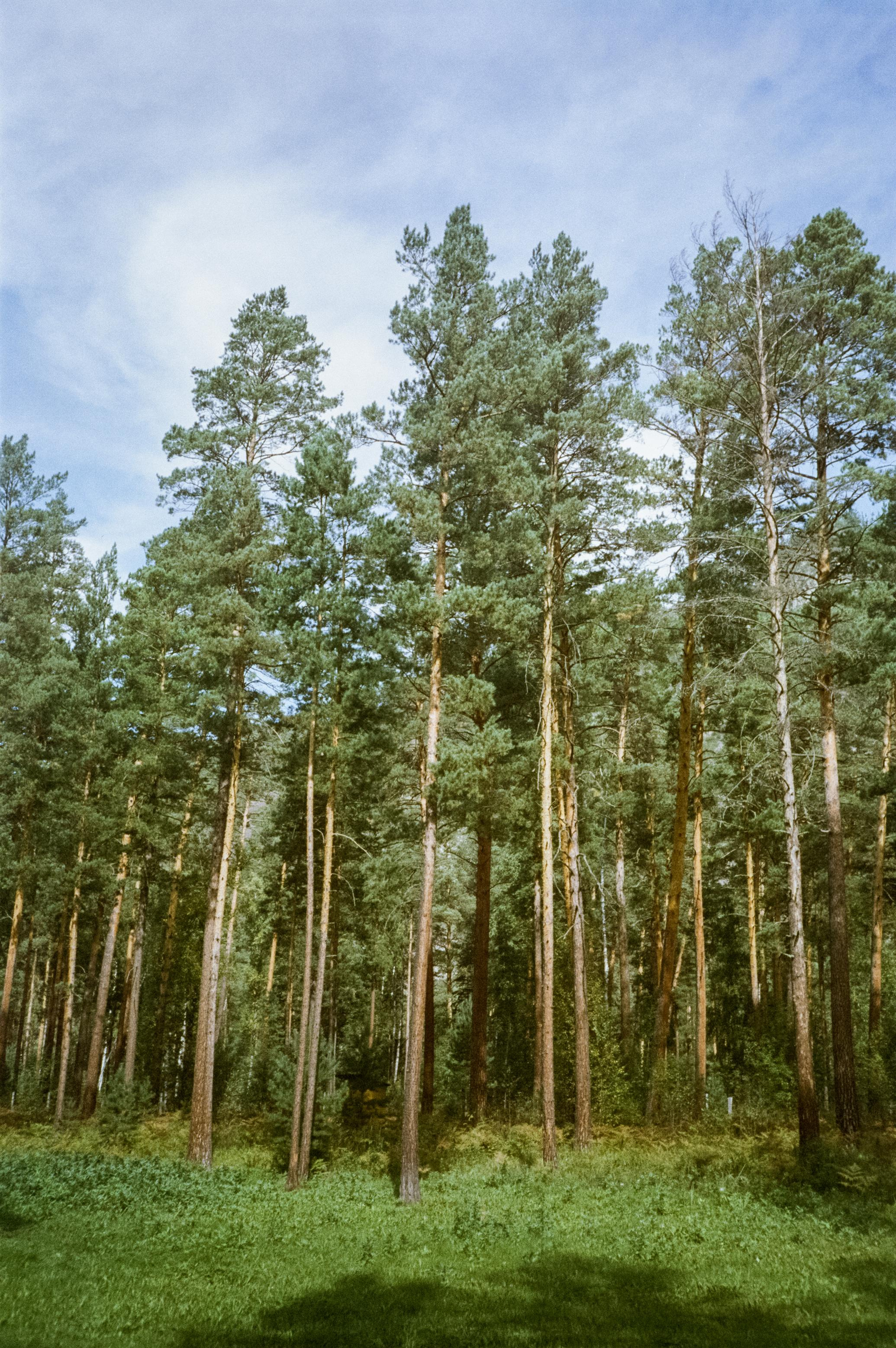 Закаты и восходы на базе Бережок / Fuji Eterna 500T / Revue 35CC