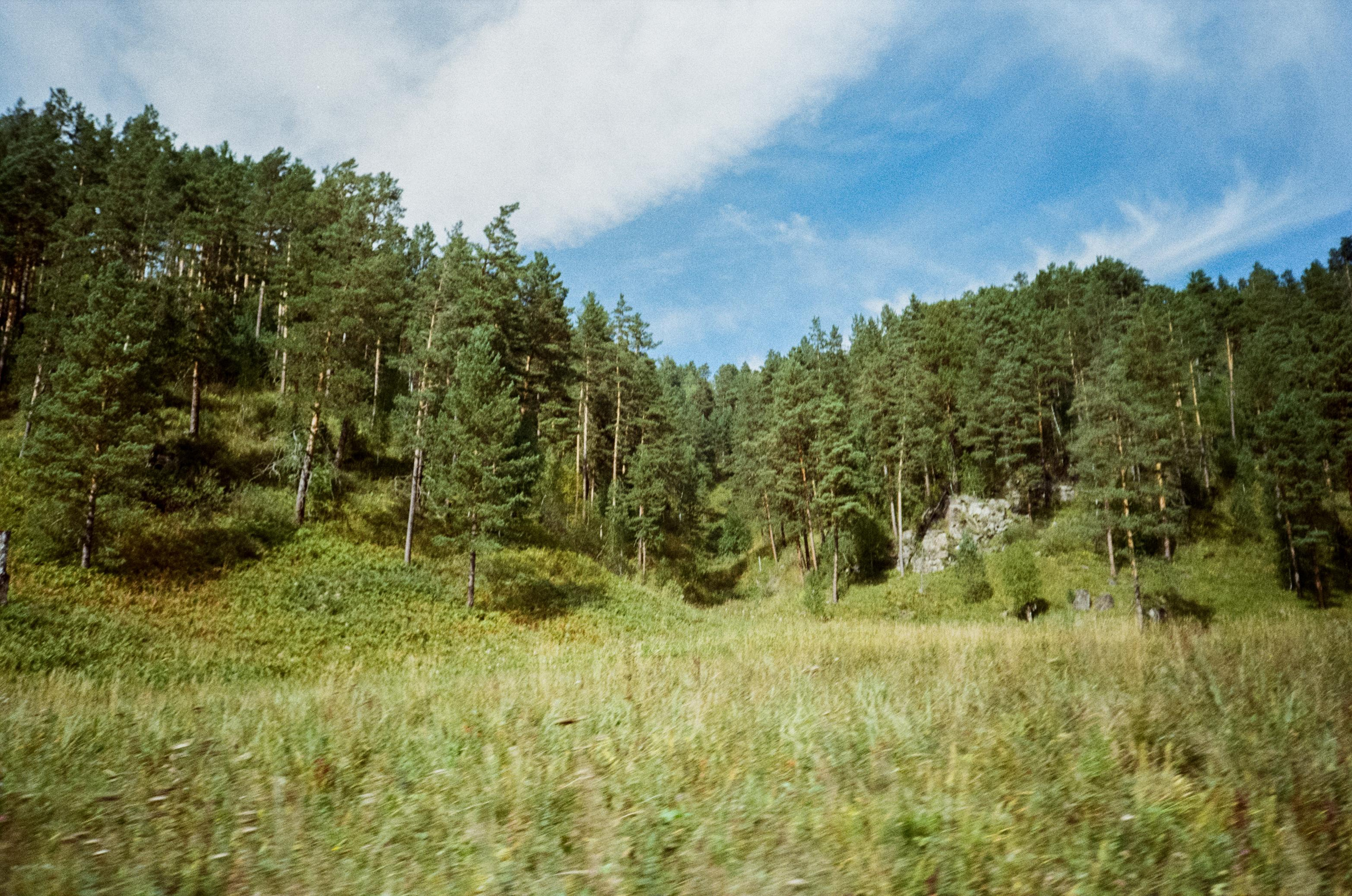 Kodak Gold 200 Алтай