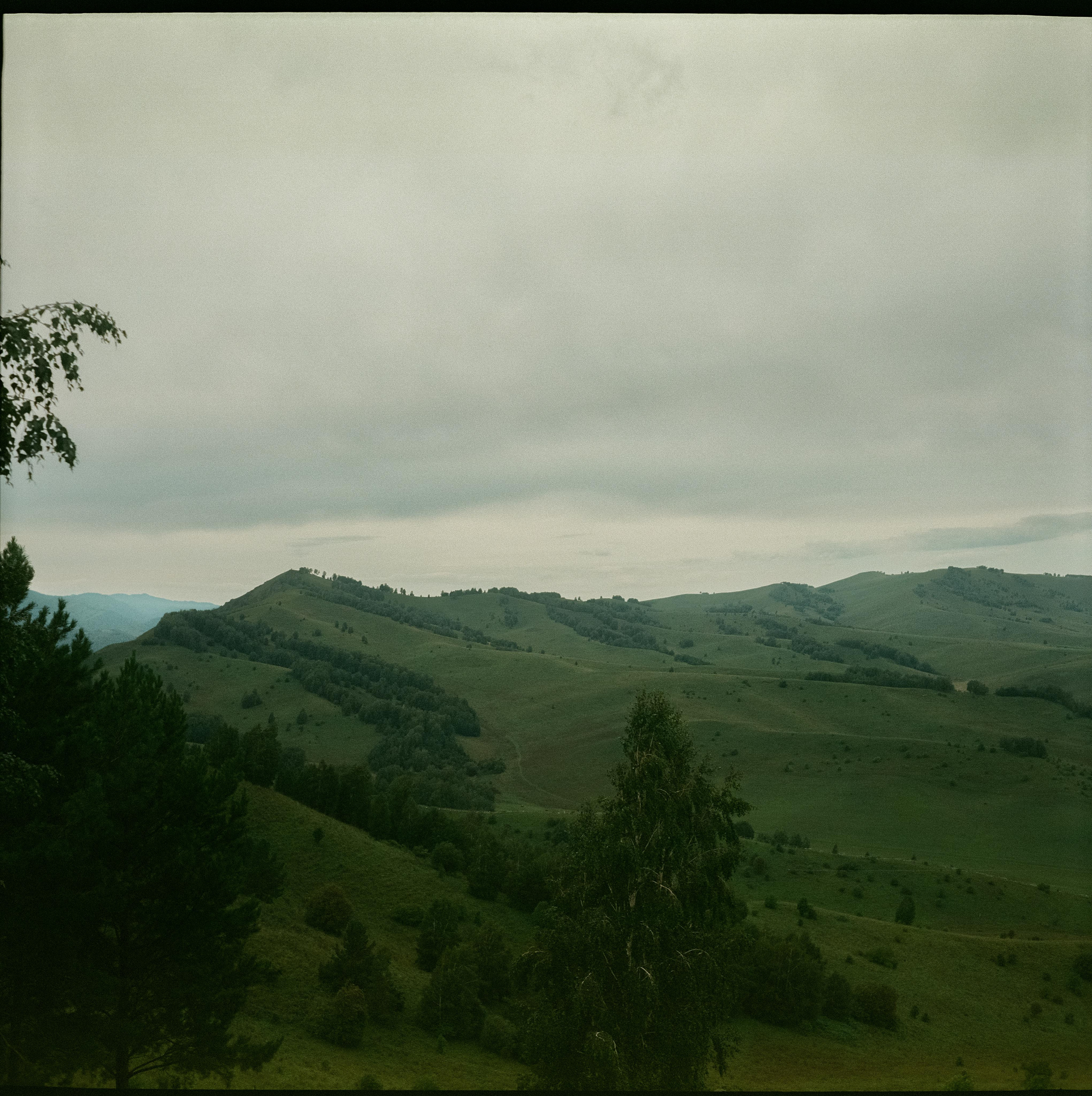 Чемальский тракт / Super Fujica-6 / Fujifilm NPL 160
