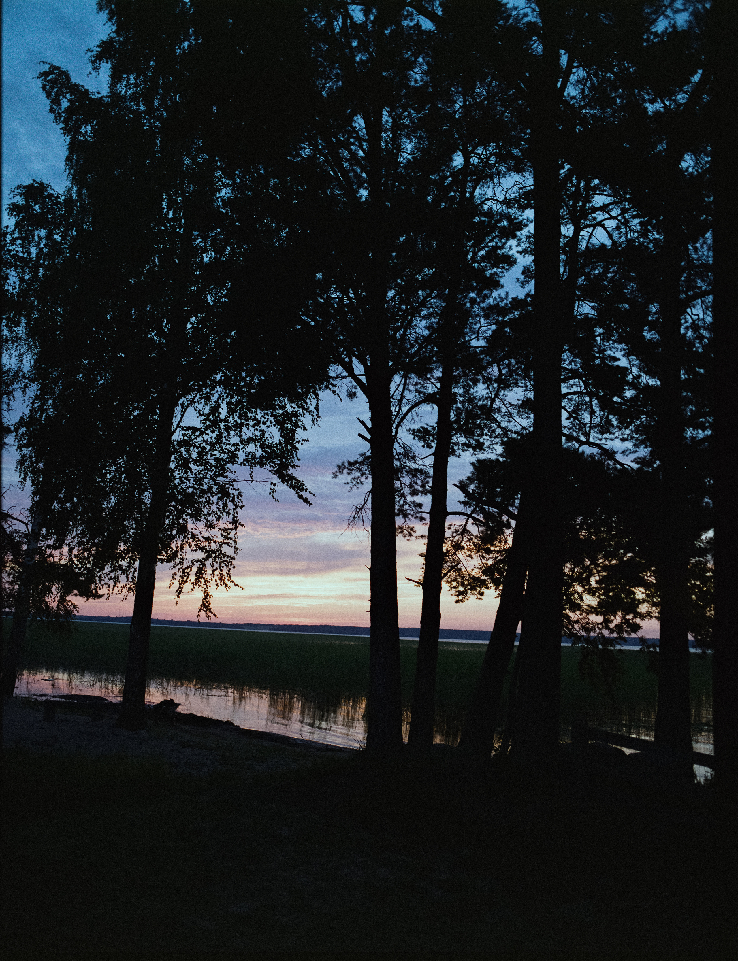 Mamiya 645 PRO, объектив: Mamiya-Sekor C 45 mm f/2.8 N