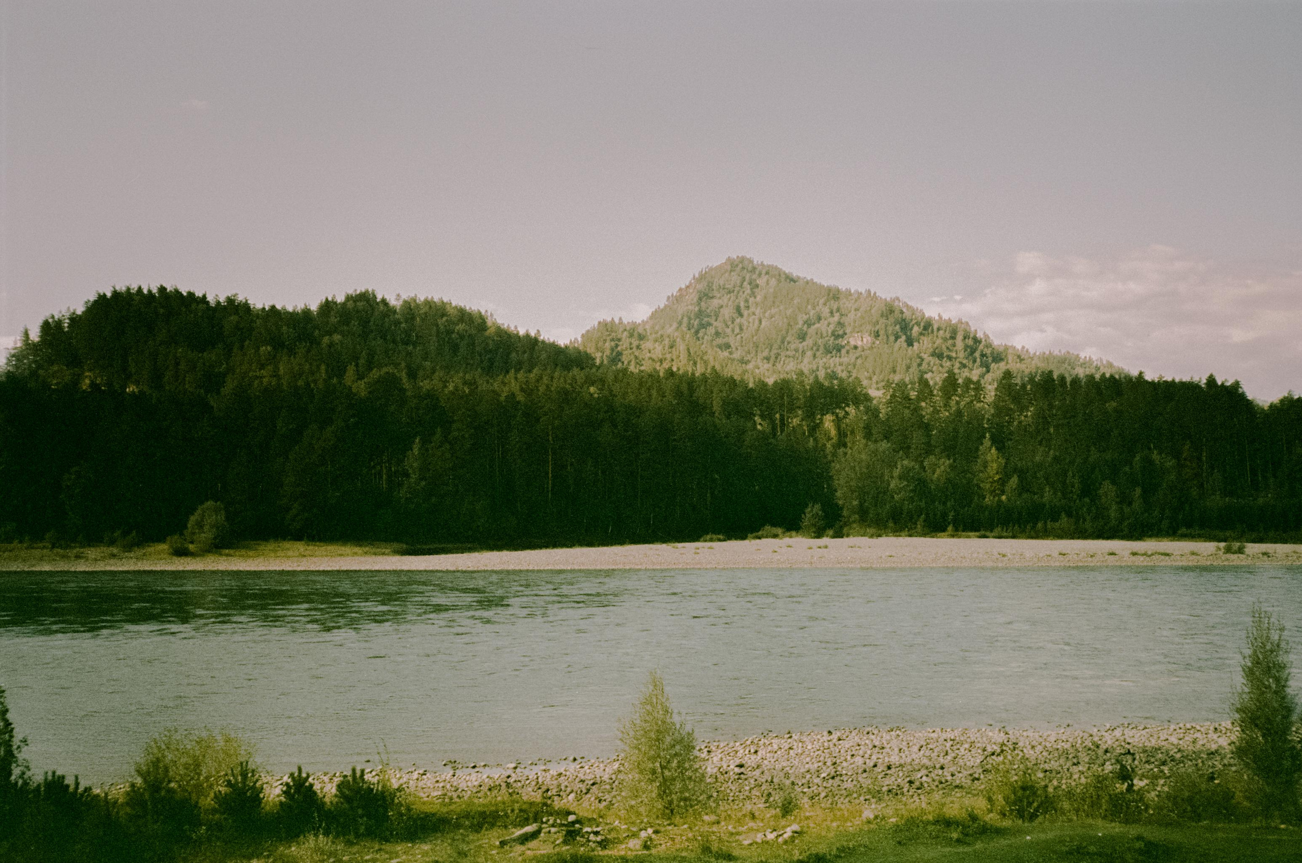 Кедровый Остров, река Катунь, база Бережок