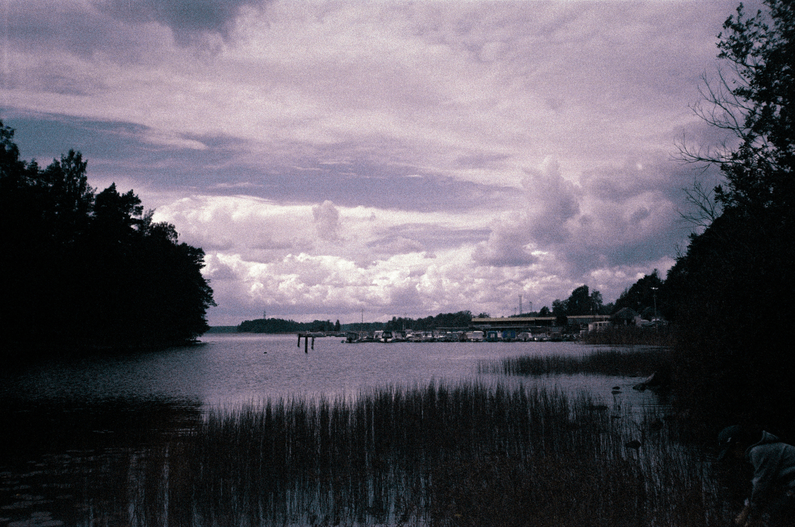 Фотография на просроченную пленку Konica Centuria 400