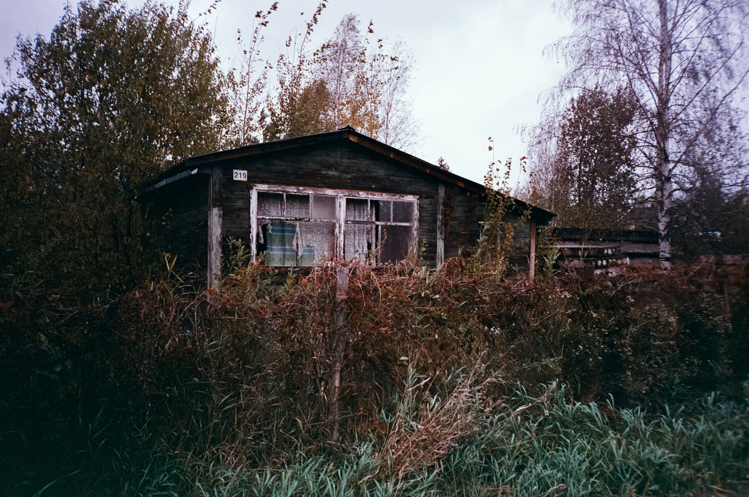 Fuji Work Record 28 мм / Konica Centuria Super 400 / Давыдовское