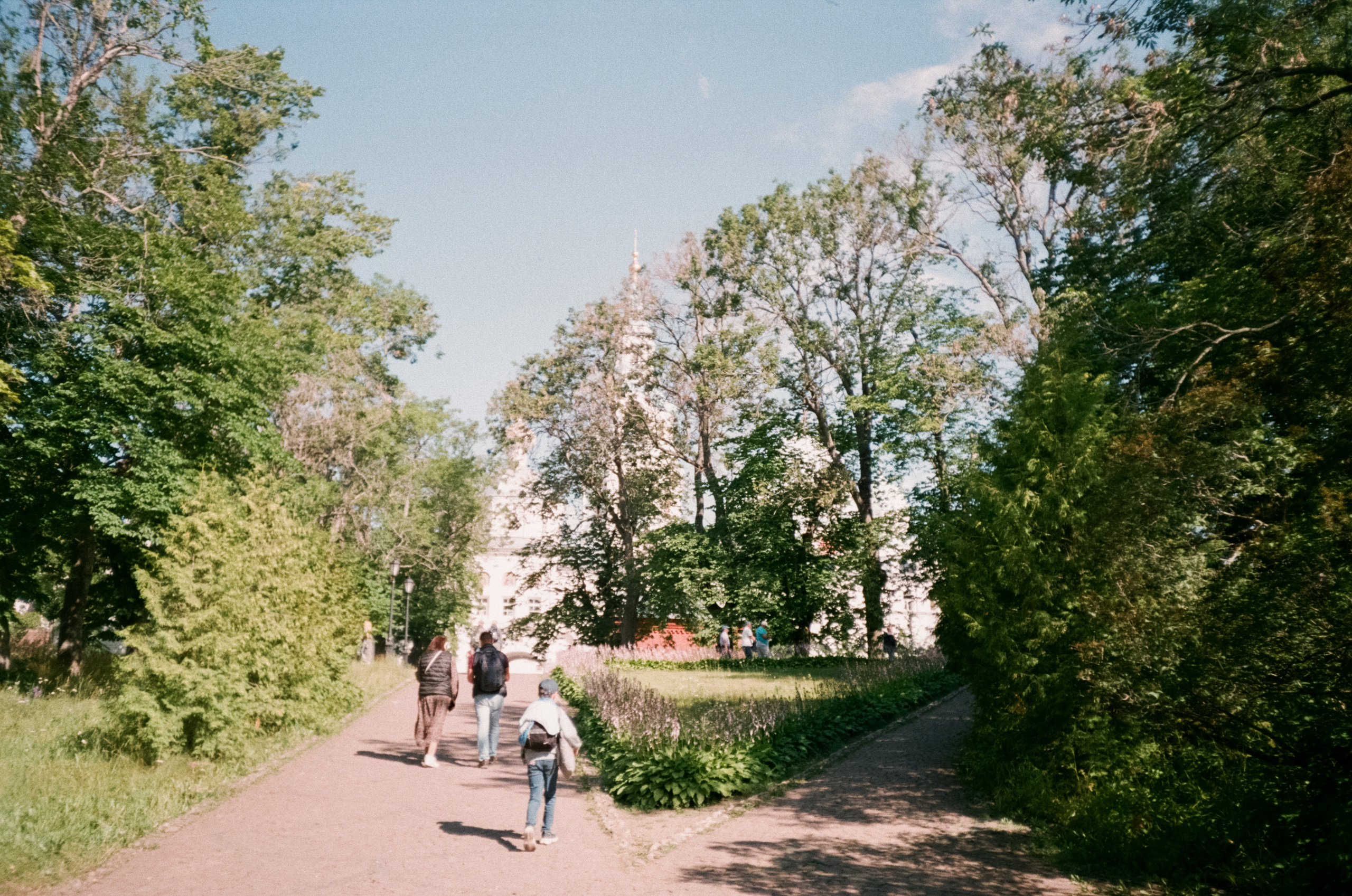 Остров Валаам и остров Каменистый на Cinestill 400D