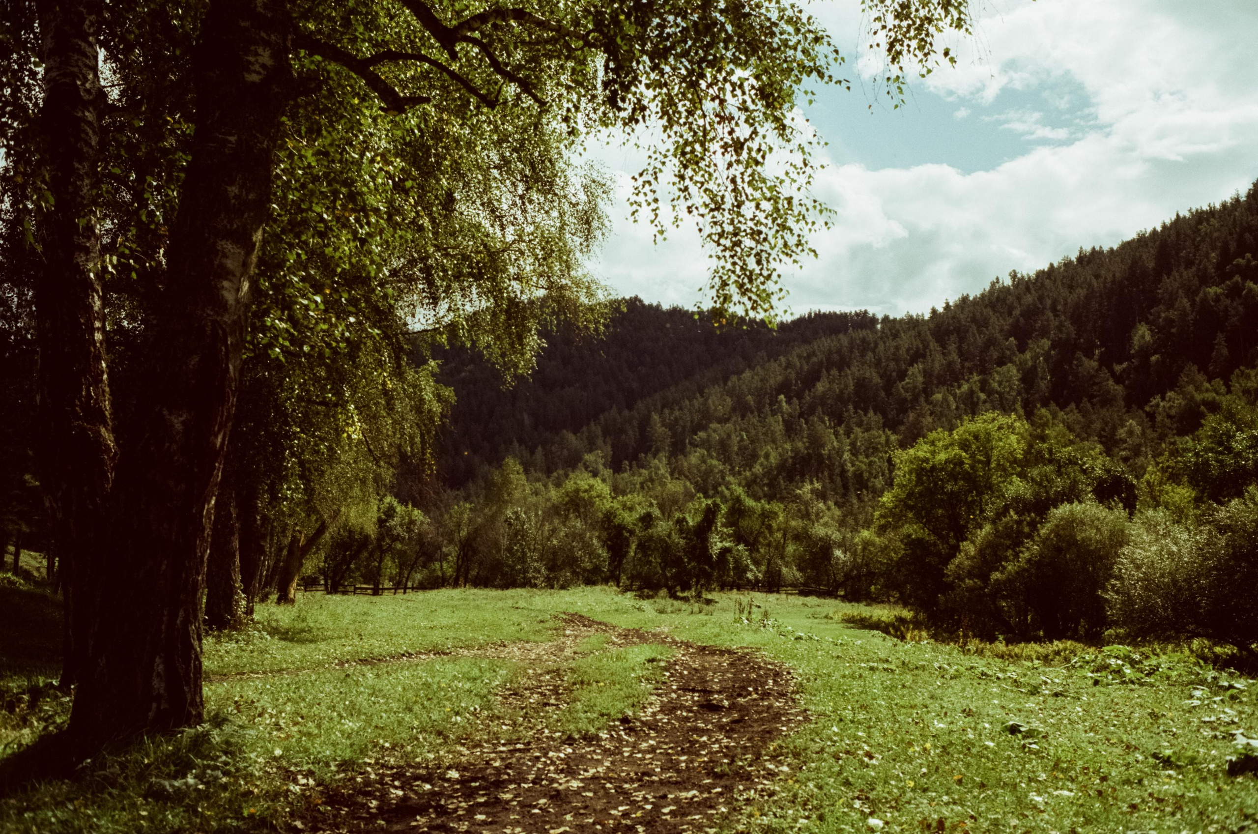 Самые красивые места Чемальского тракта на фотопленку