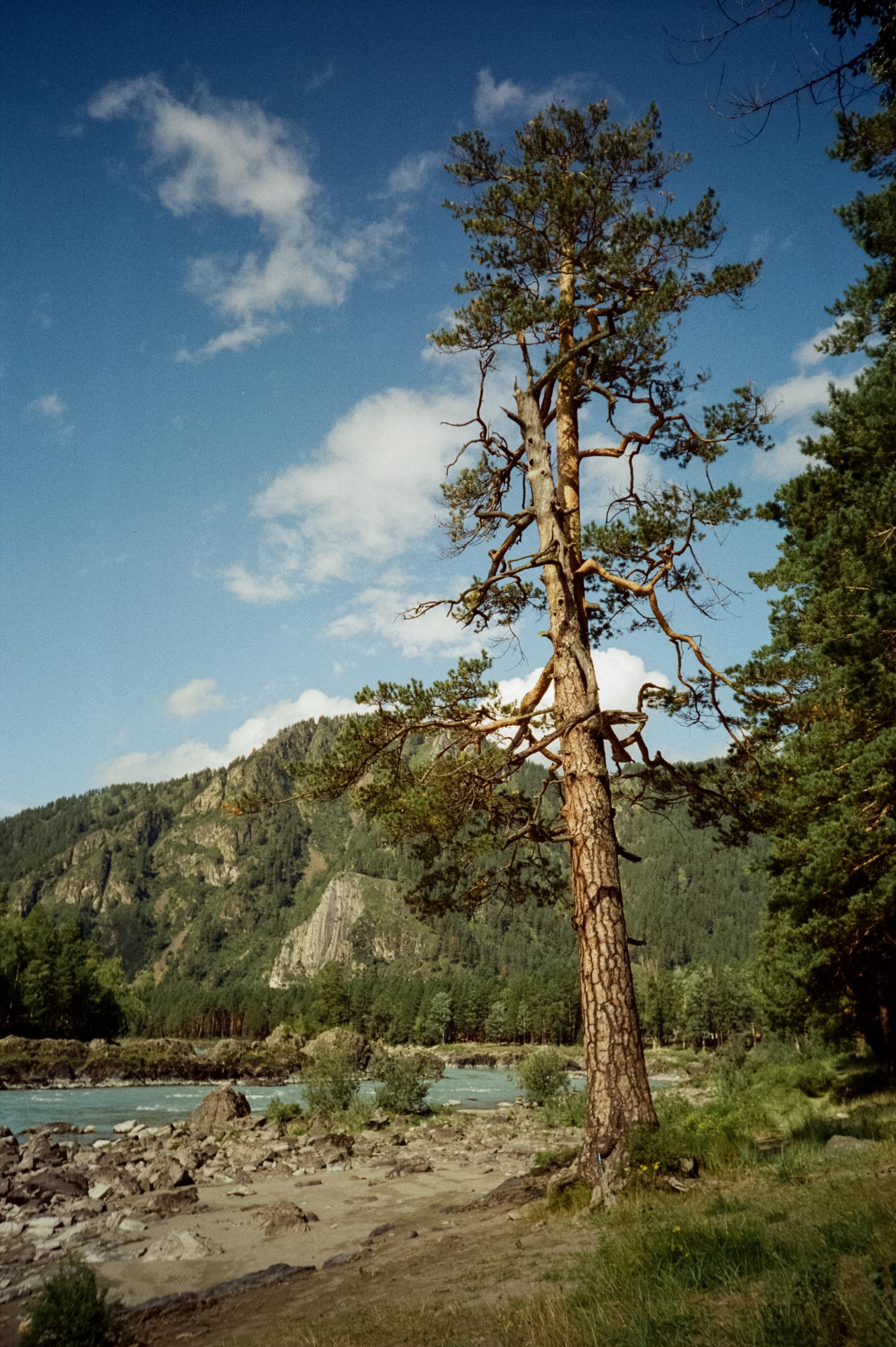 Самые красивые места Чемальского тракта