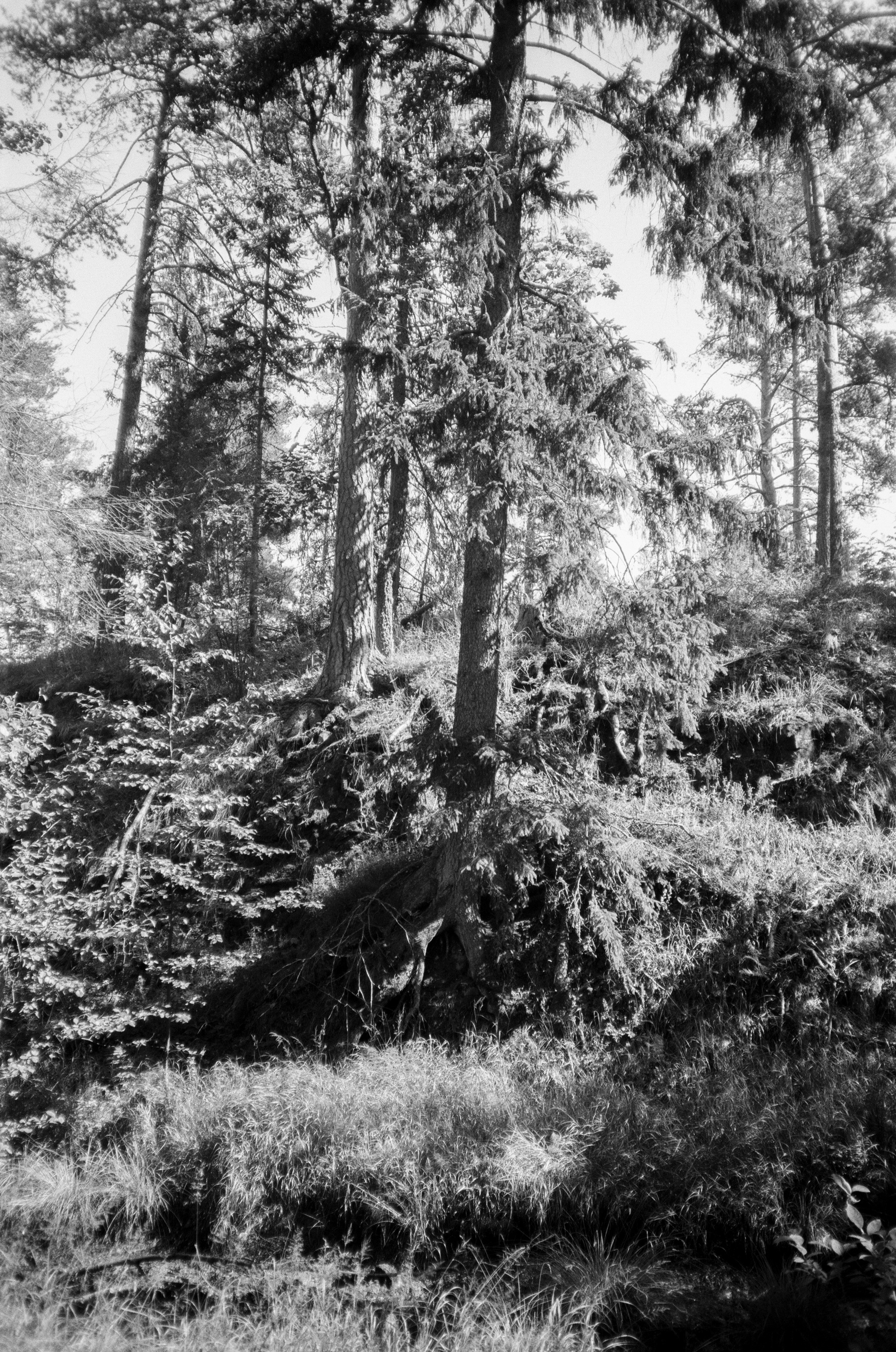 Поездка на метеоре на остров Валаам