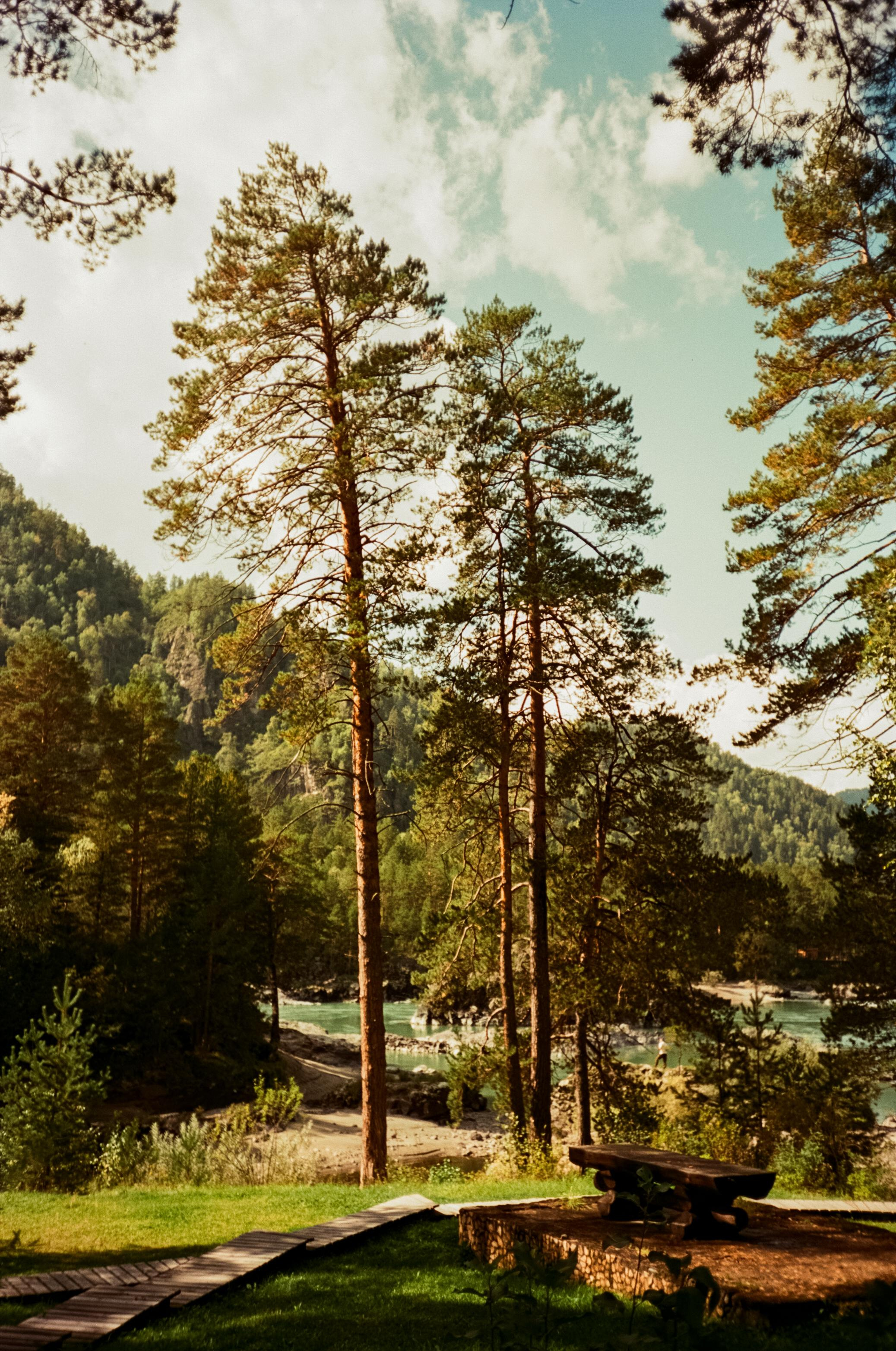 Kodak Aerocolor 125 примеры фотографий на пленку