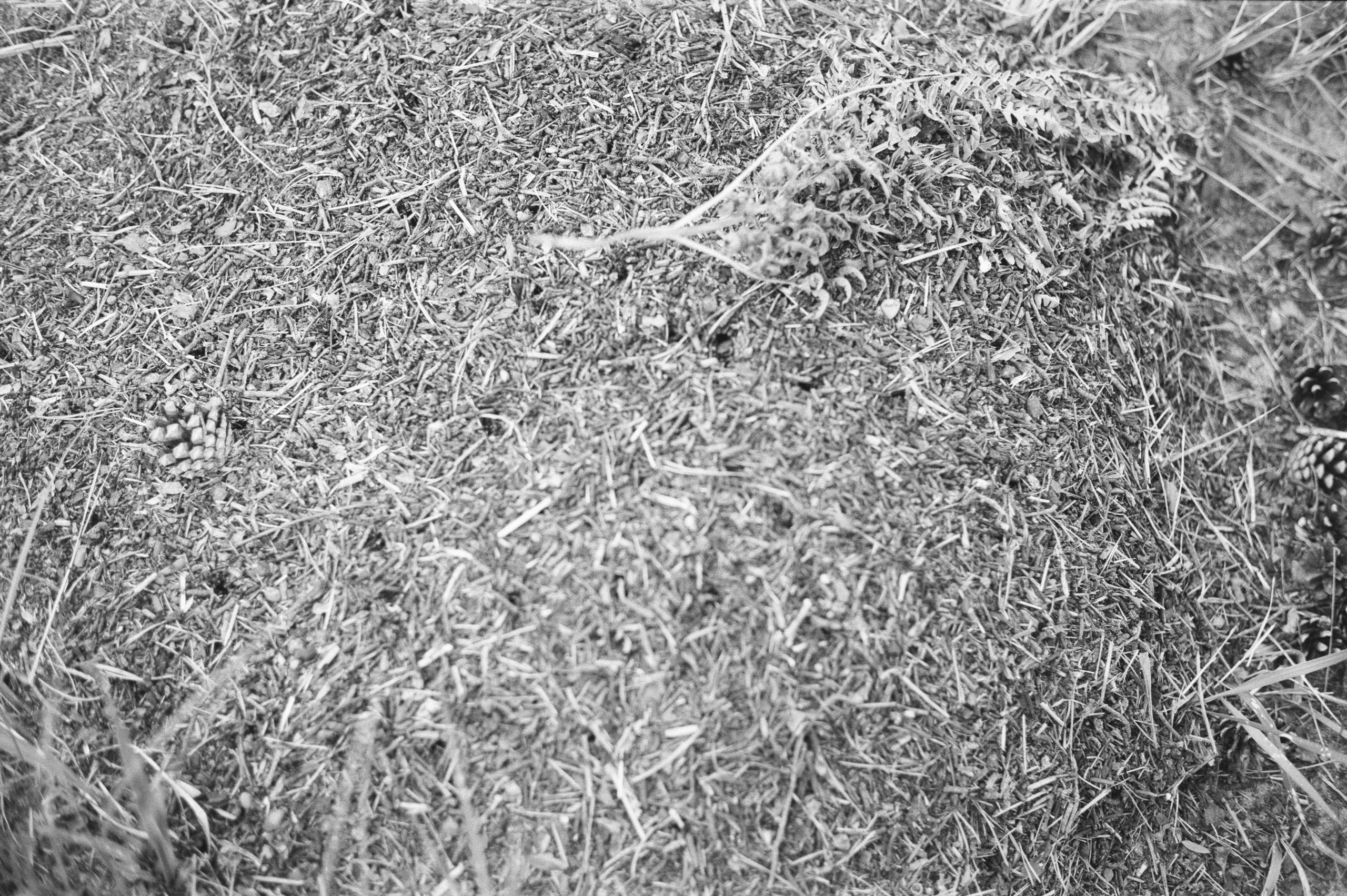 Фотосессия у Дубль дома у озера Отрадное (Приозерск)