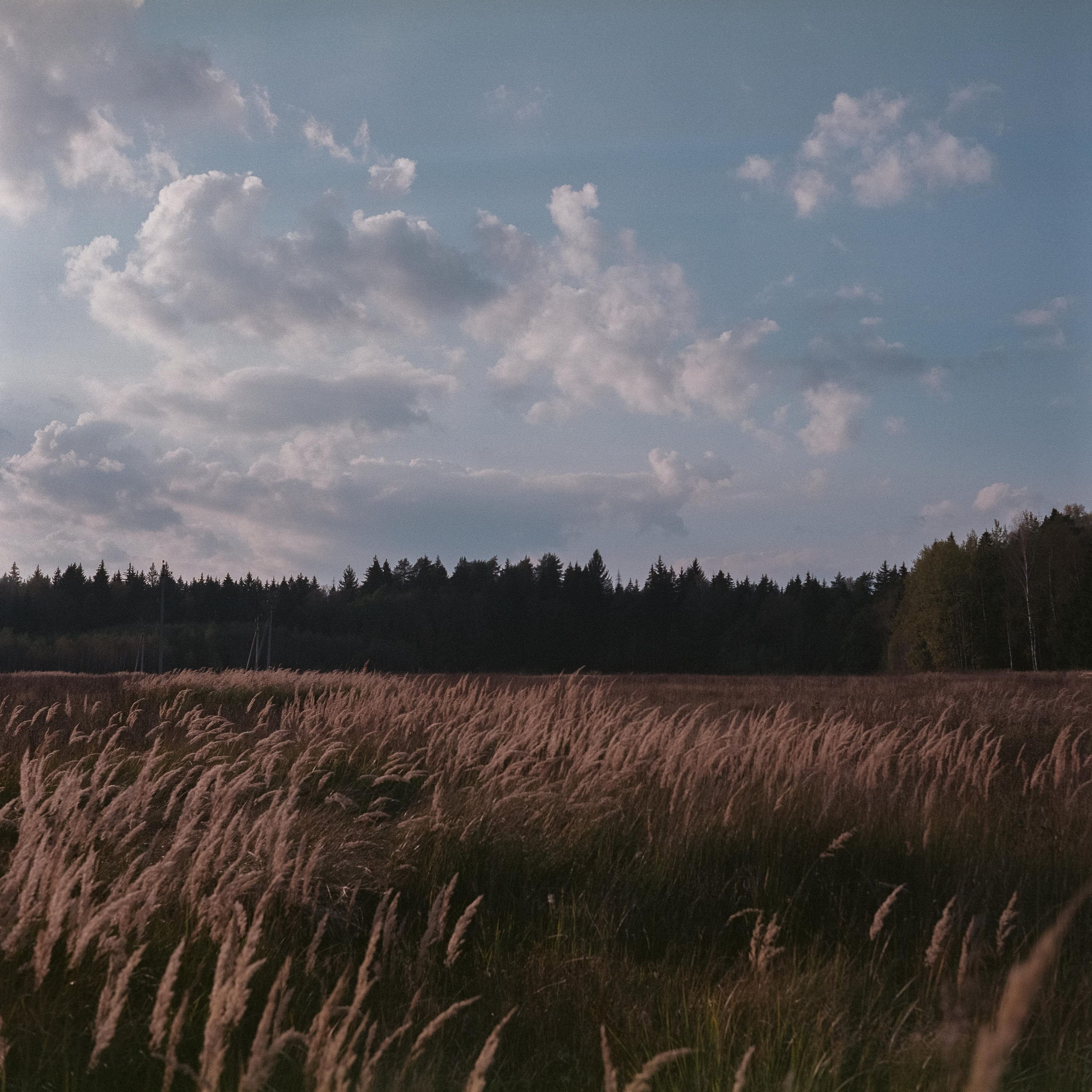 Проверка нового Super Fujica-6 с пленкой Fujifilm NPL 160