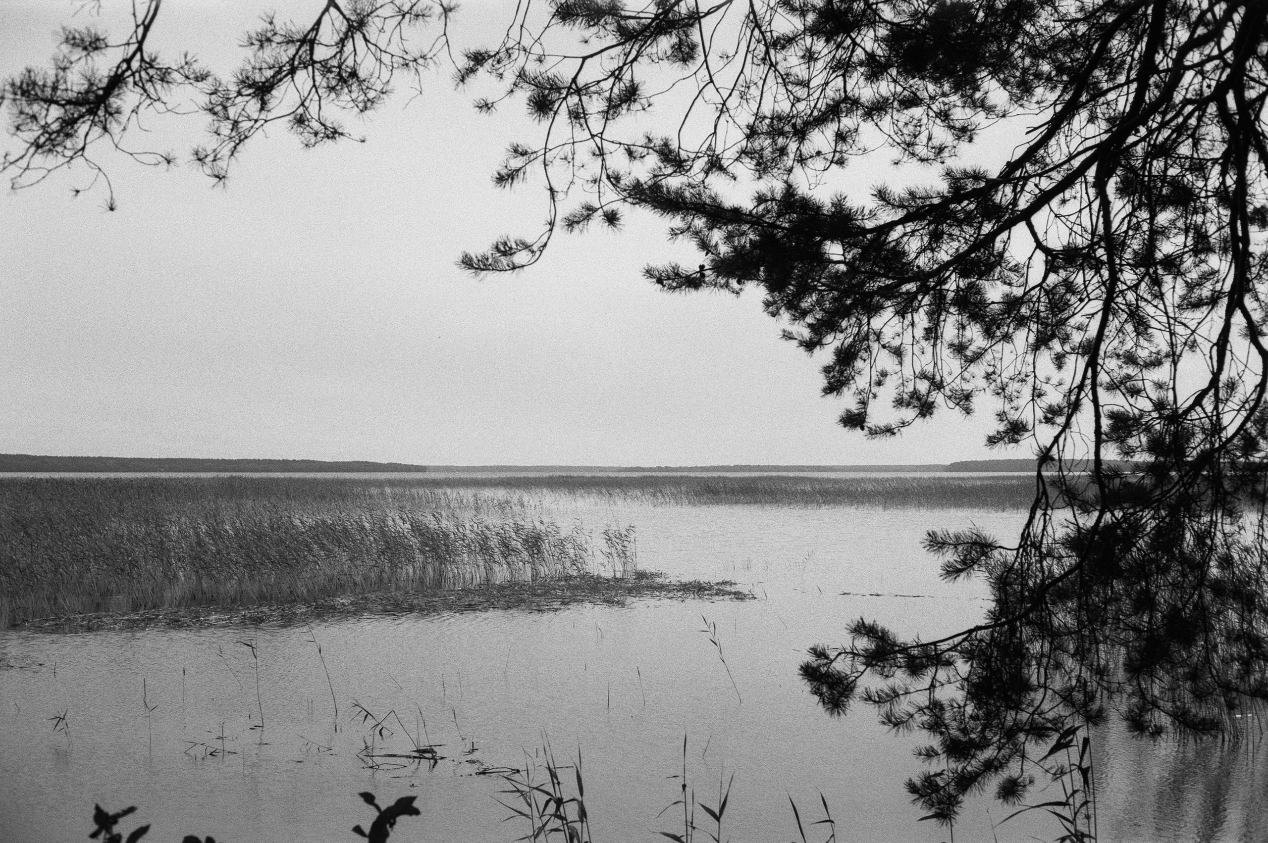 Фотосессия у Дубль дома у озера Отрадное (Приозерск)