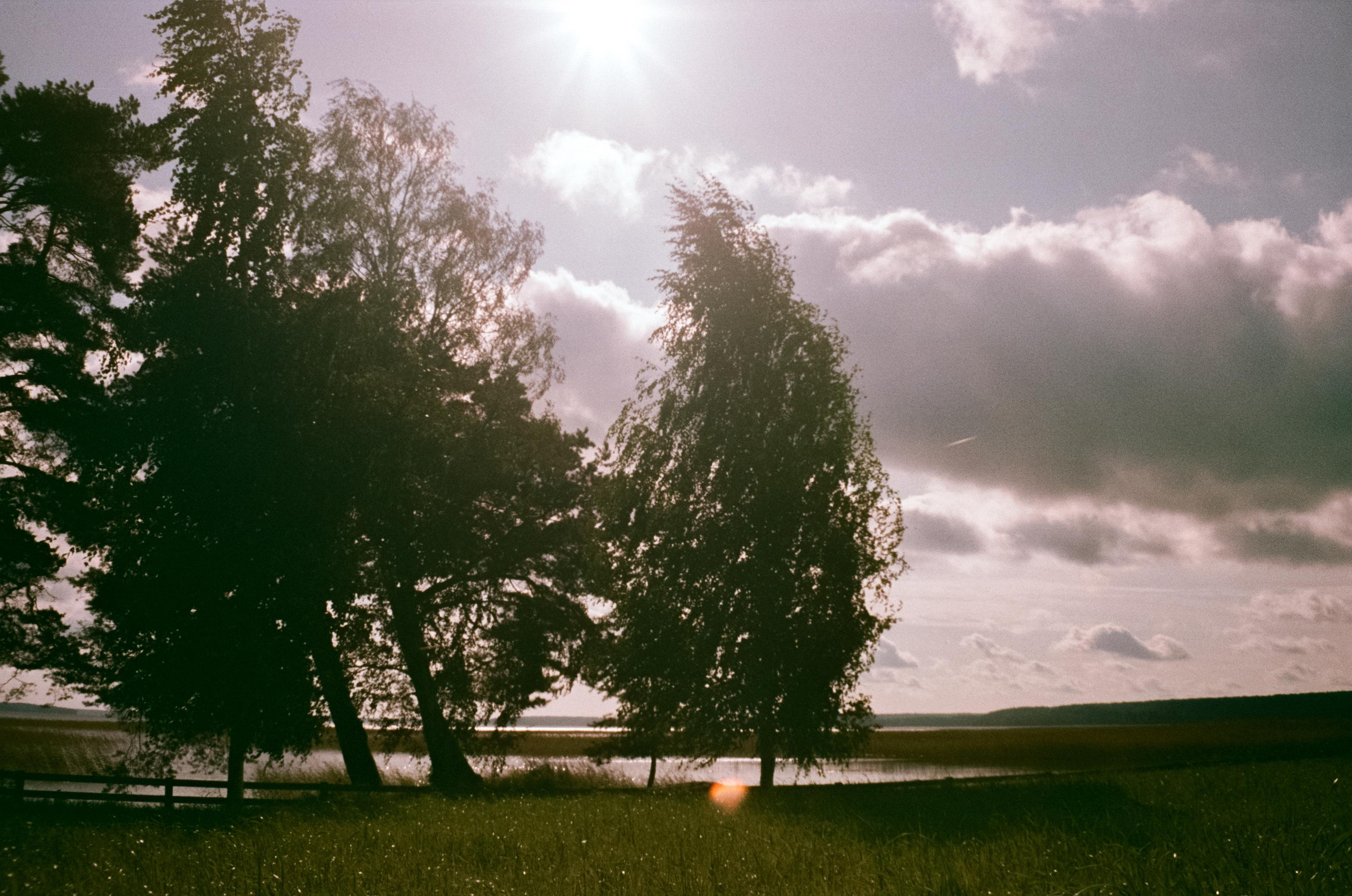 Озеро Отрадное, снятое на просроченную пленку