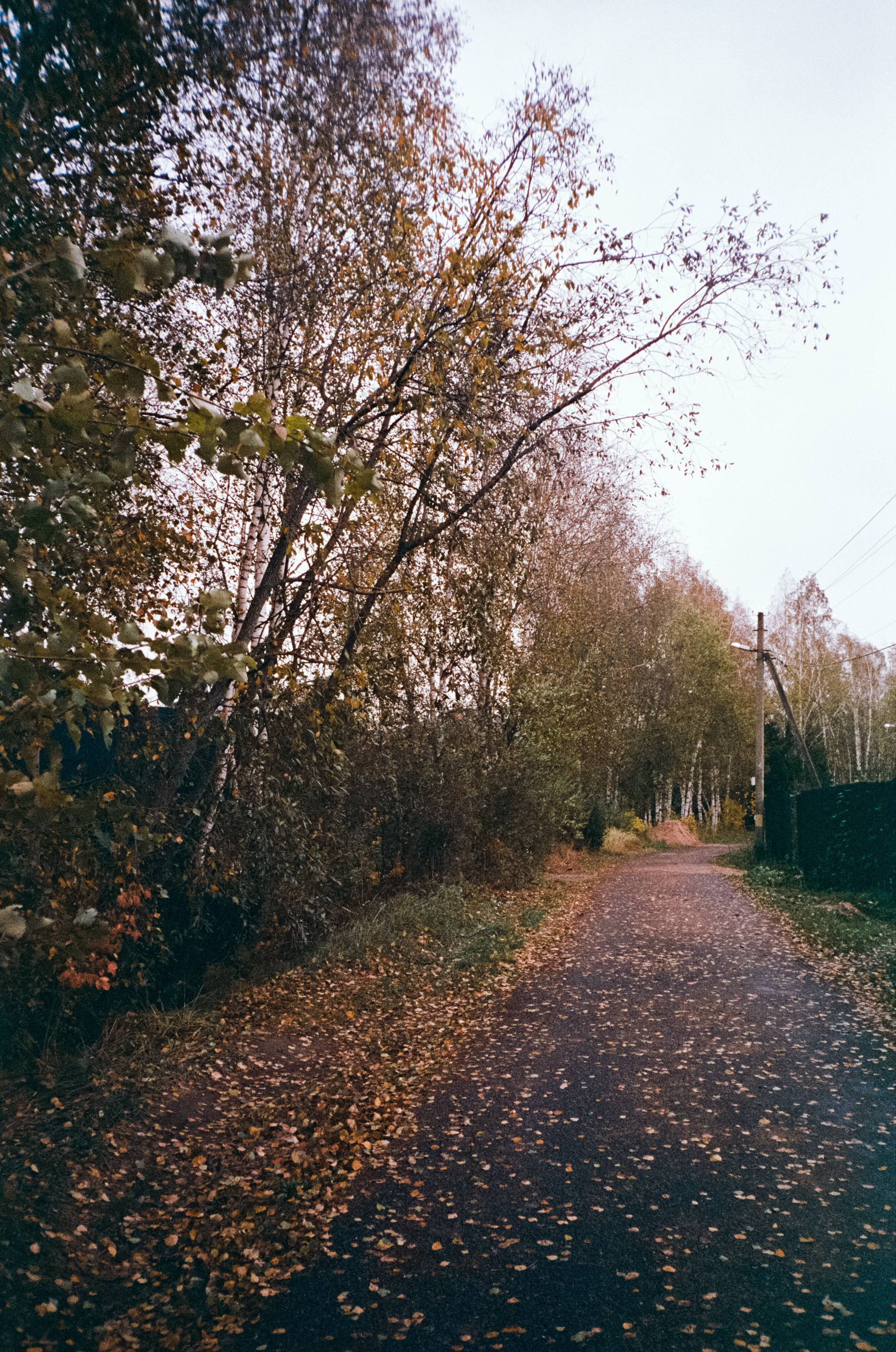 Fuji Work Record 28 мм / Konica Centuria Super 400 / Давыдовское