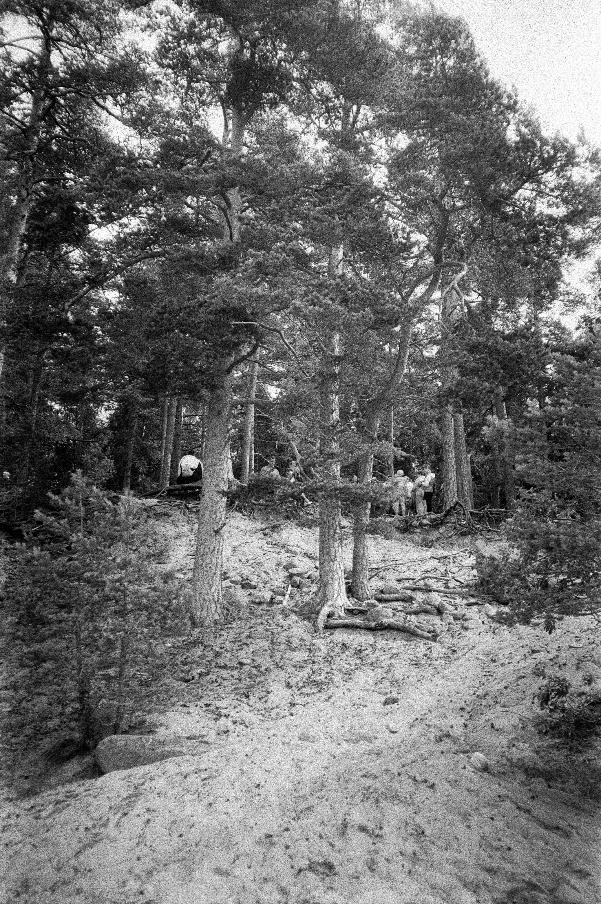 Остров Коневец на черно-белую пленку