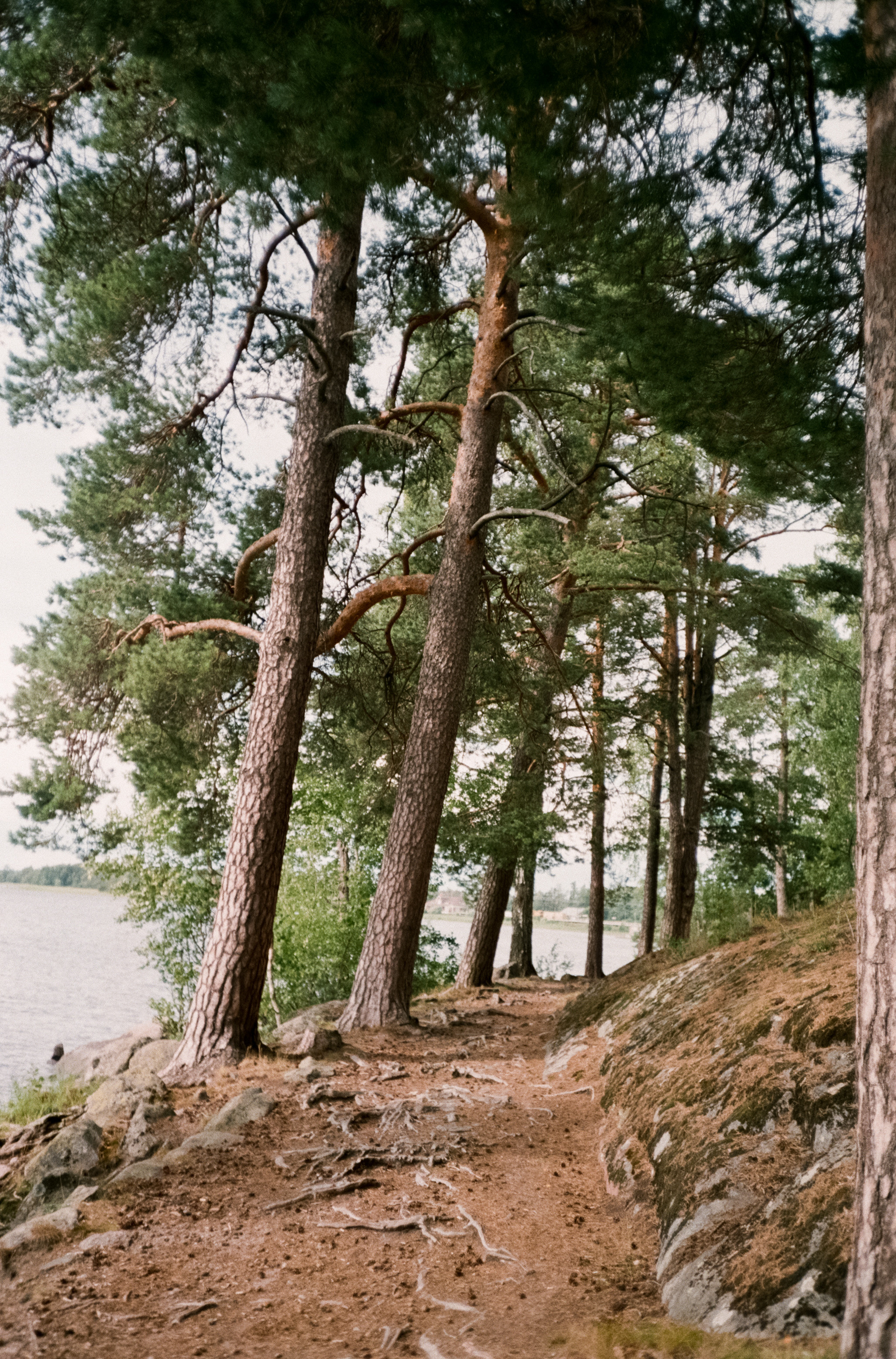 Остров Валаам и остров Каменистый на Cinestill 400D