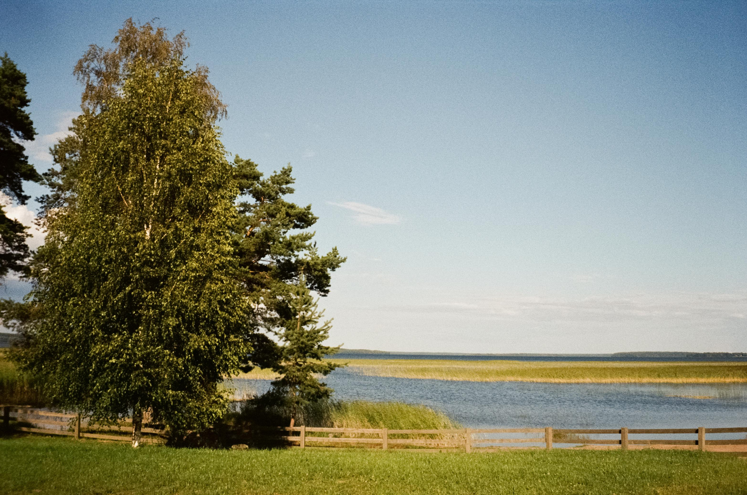 Прогулки на озере в Карелии на SUP