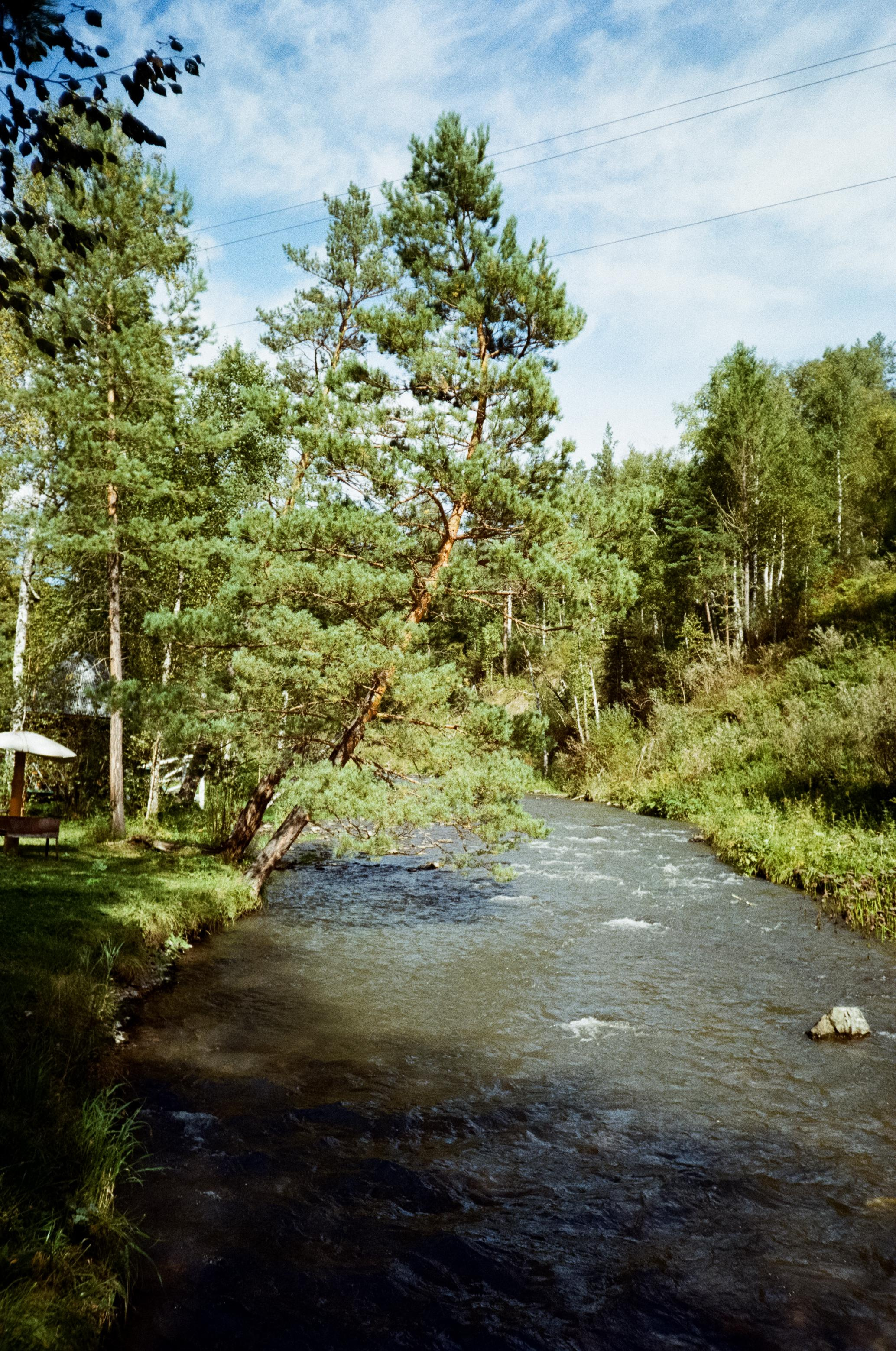 Примеры фотографий Алтай на фотопленку