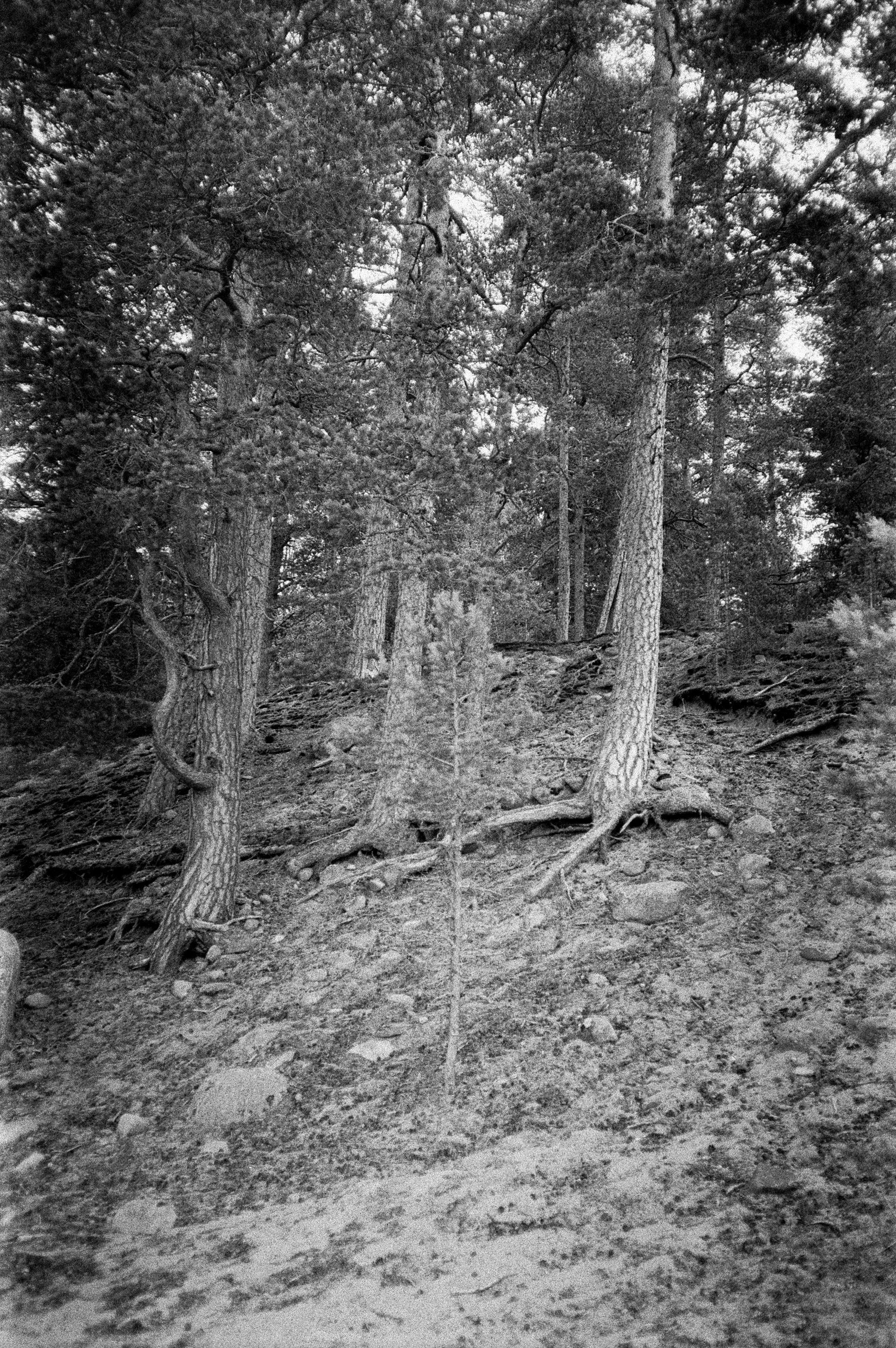 Остров Коневец на черно-белую пленку