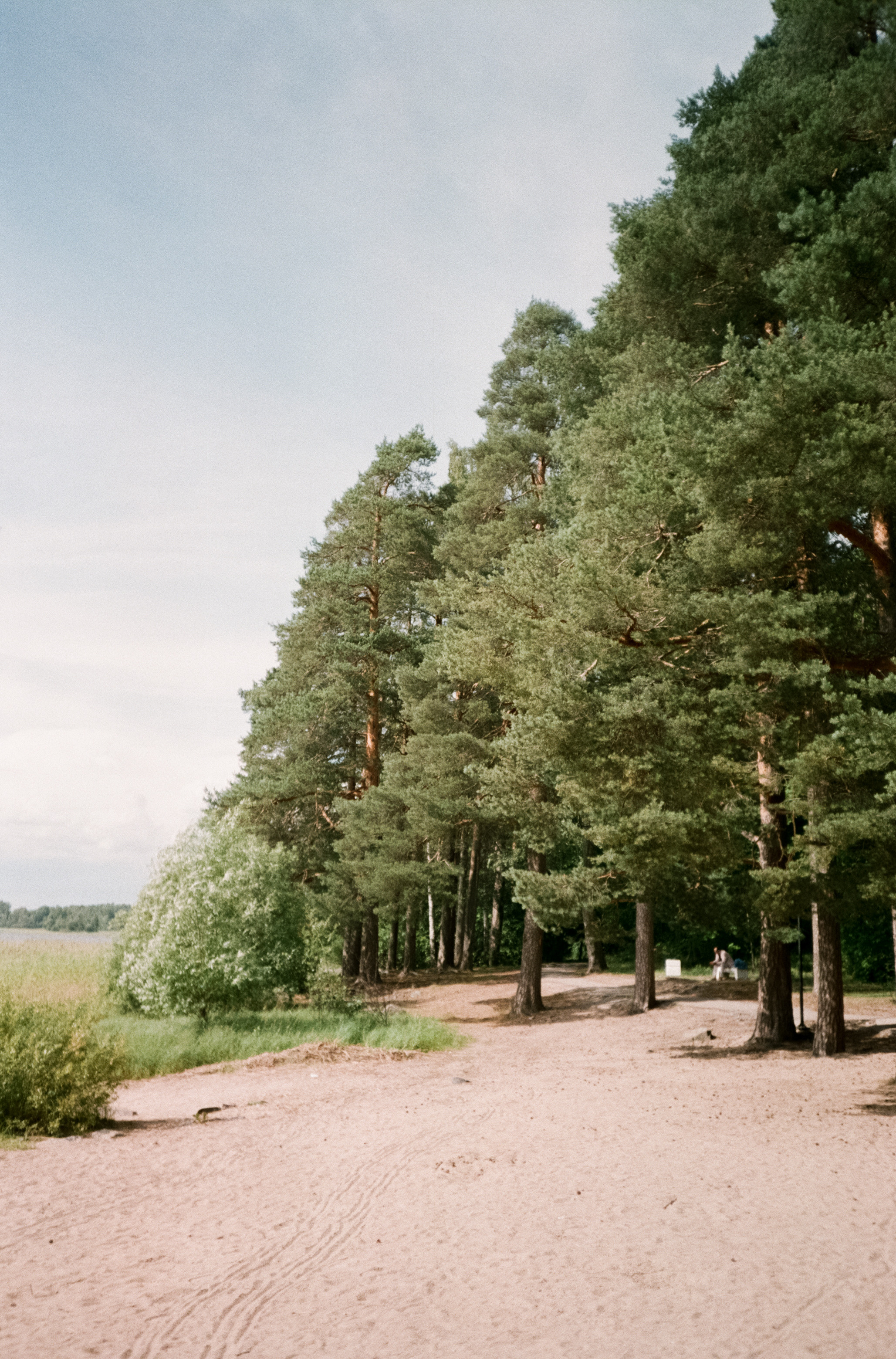 Остров Валаам и остров Каменистый на Cinestill 400D