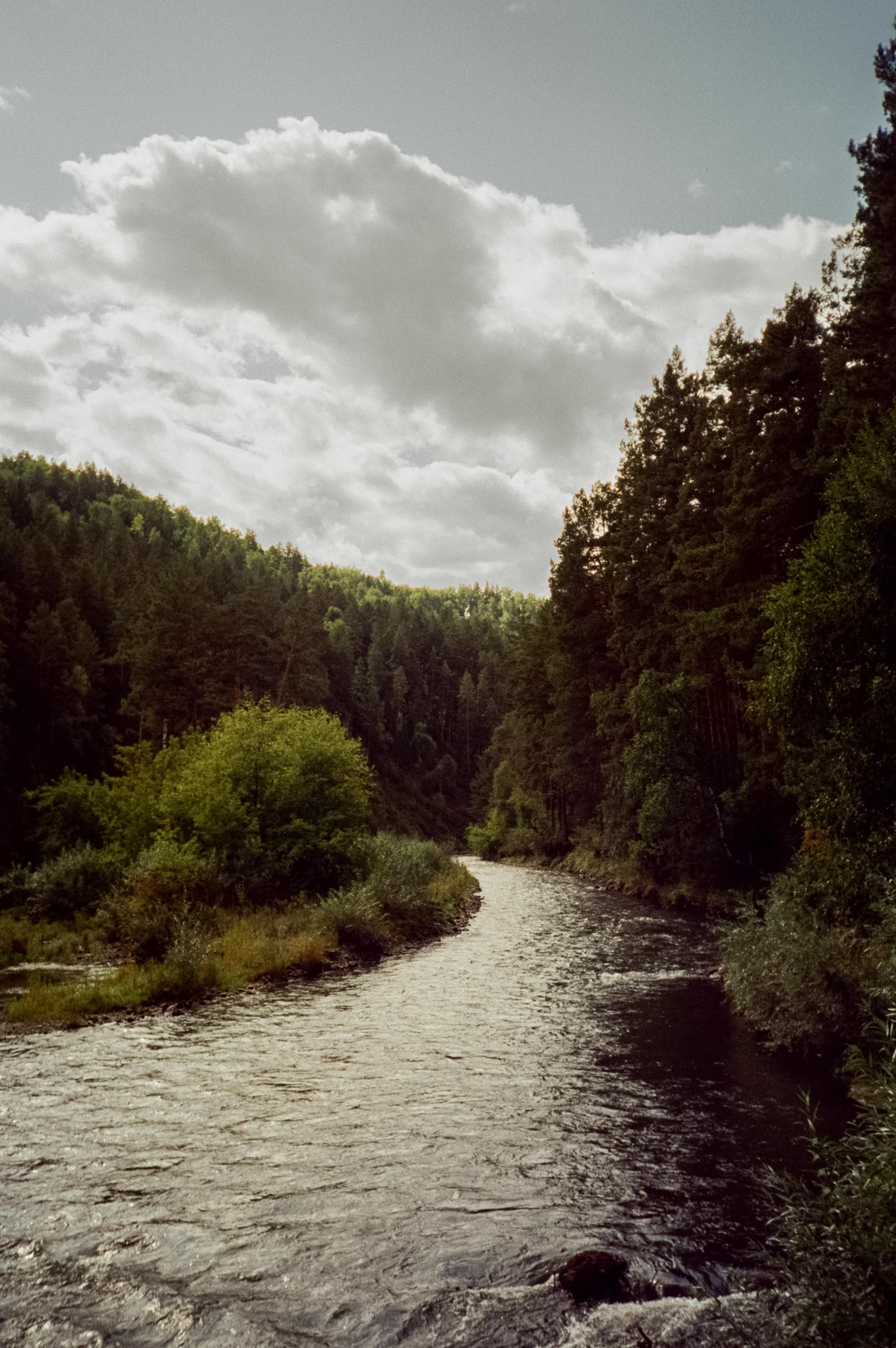 Пример фотографии на пленку Kodak Vision 3 250D