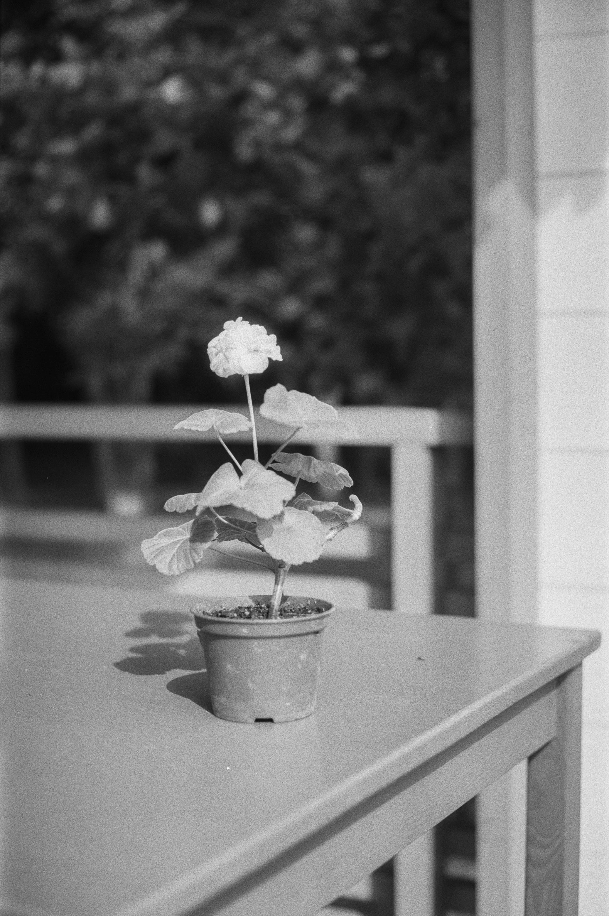 Фотосессия у Дубль дома у озера Отрадное (Приозерск)