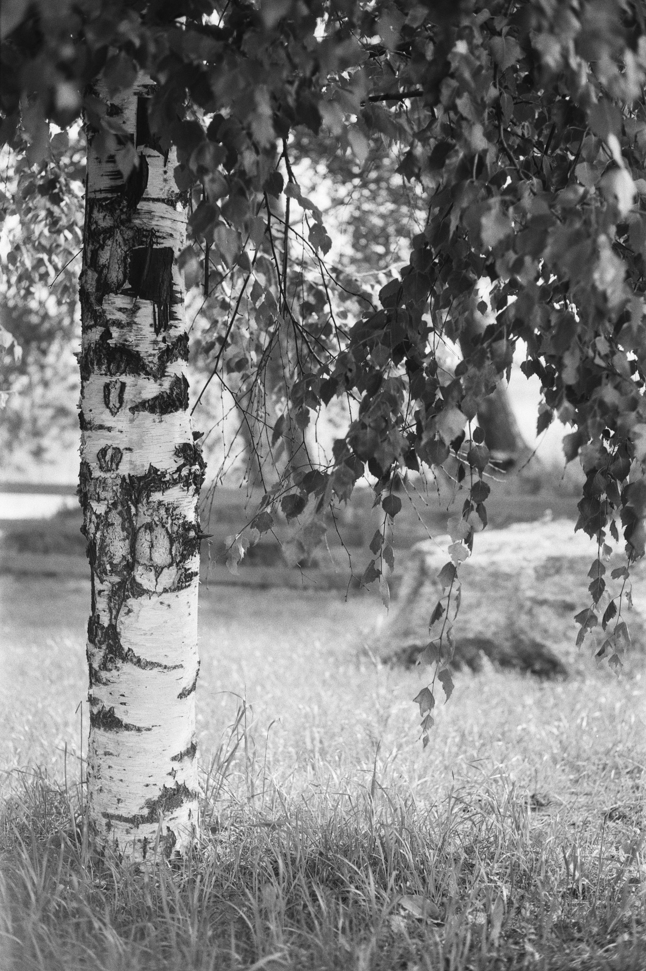 Фотосессия у Дубль дома у озера Отрадное (Приозерск)