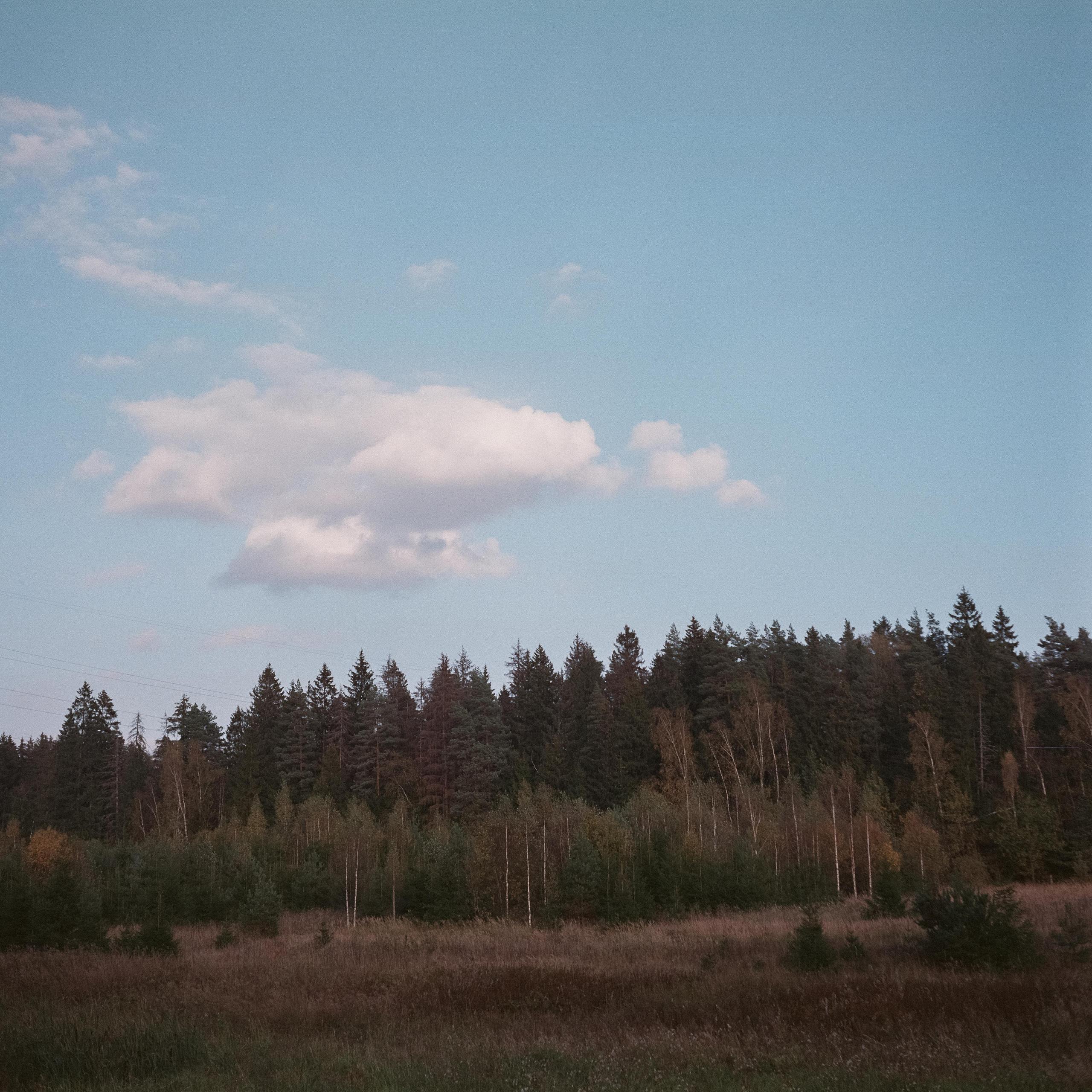 Проверка нового Super Fujica-6 с пленкой Fujifilm NPL 160