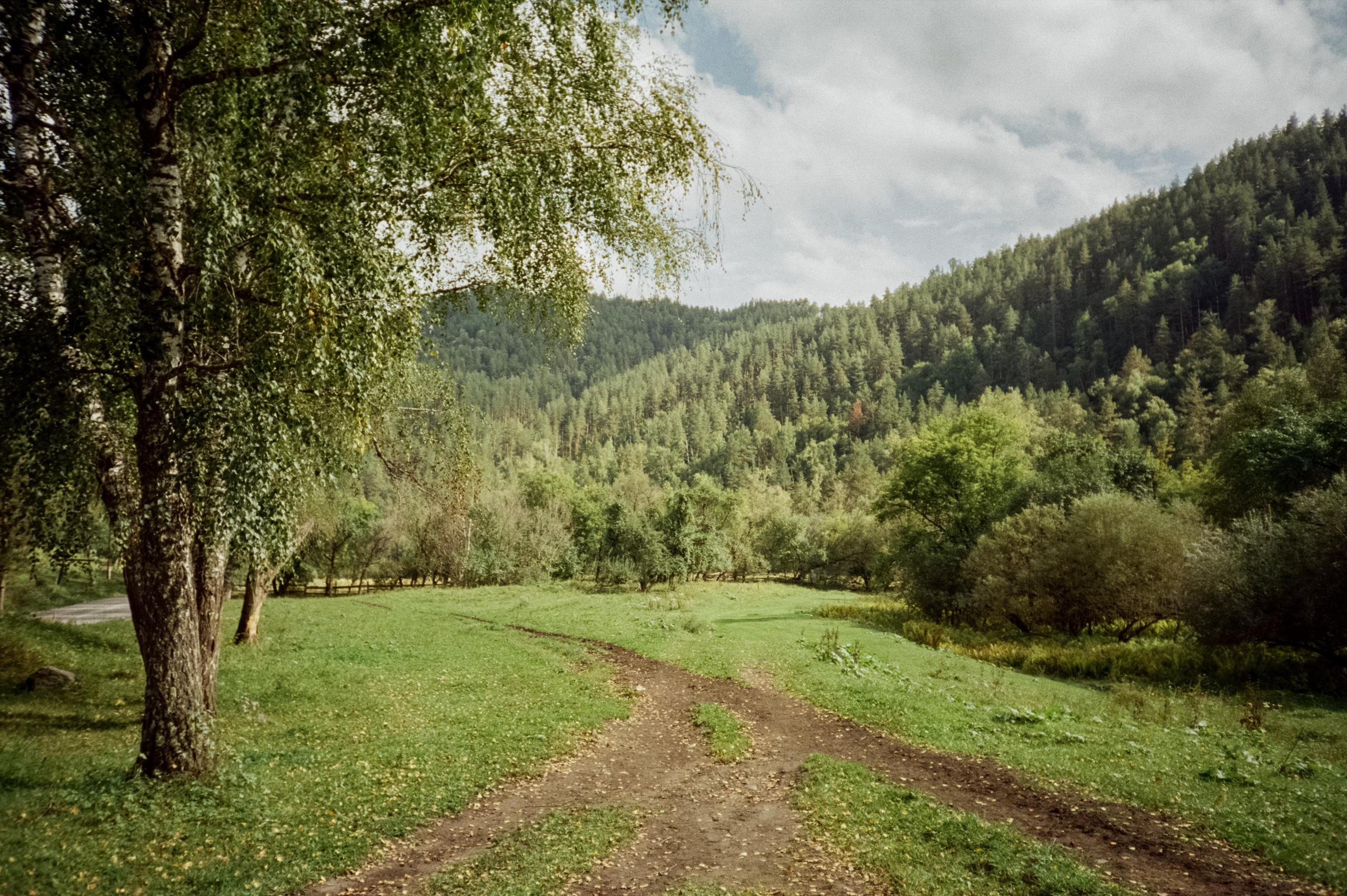 Пример фотографии Canon 11 