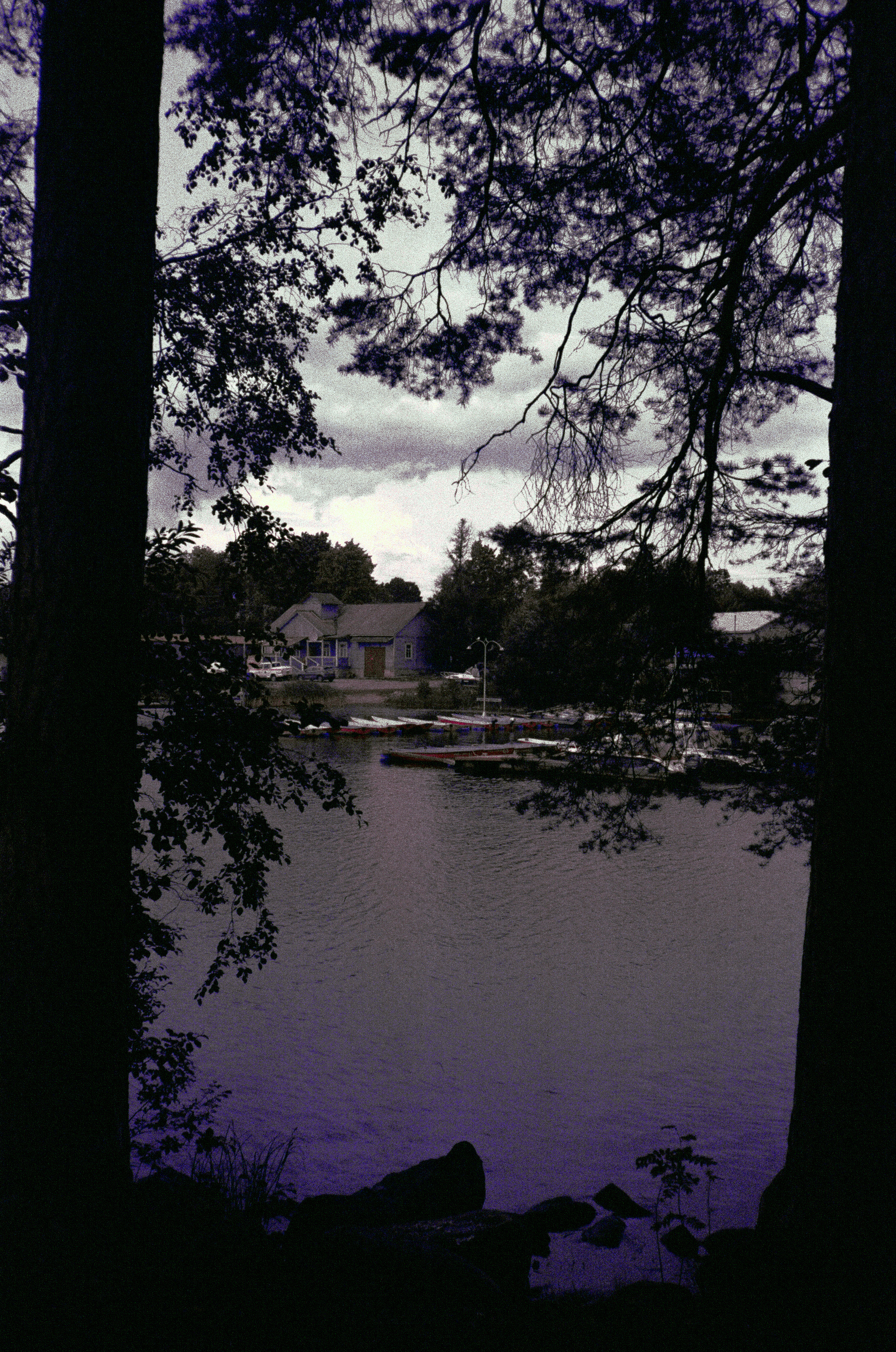 Фотография на просроченную пленку Konica Centuria 400