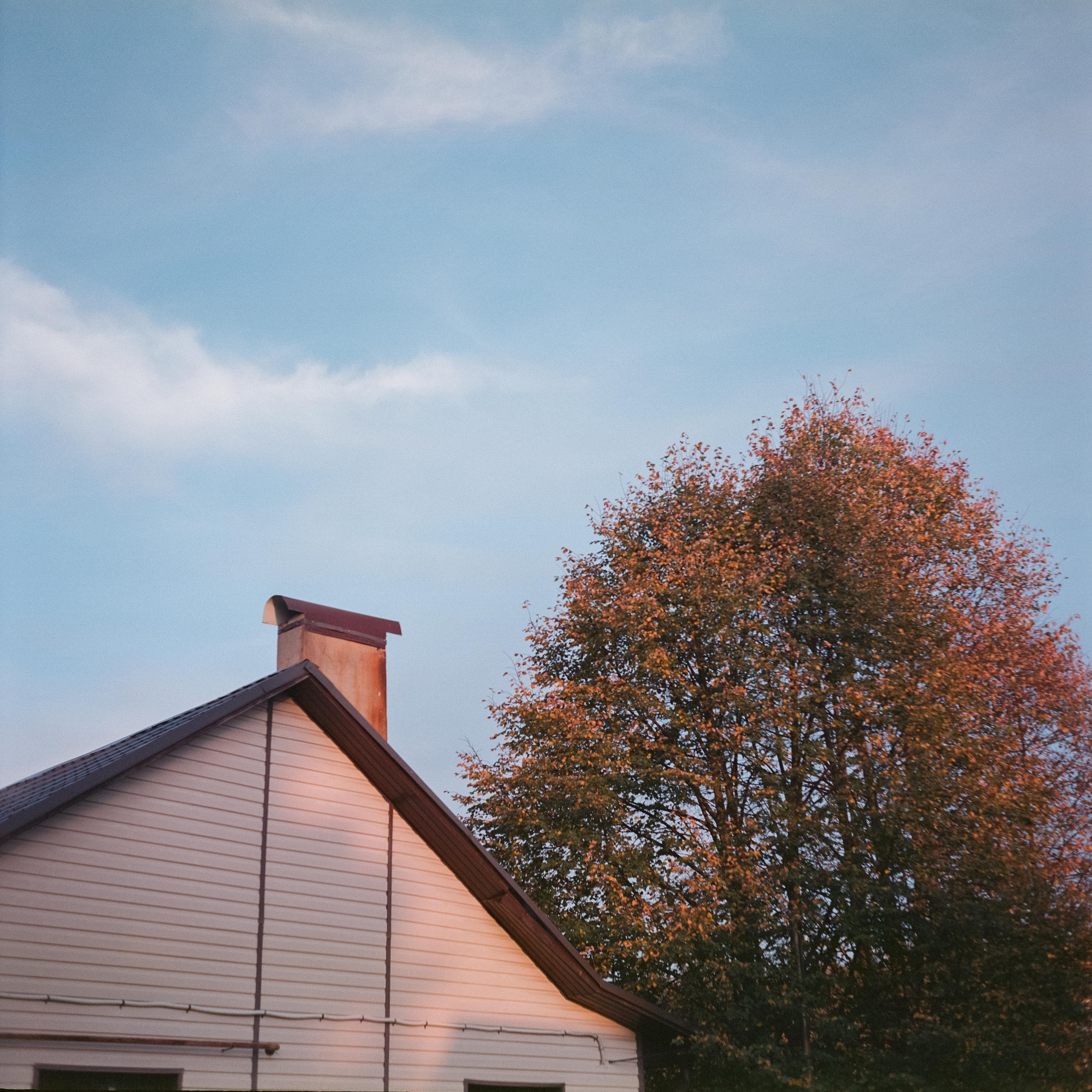 Проверка нового Super Fujica-6 с пленкой Fujifilm NPL 160