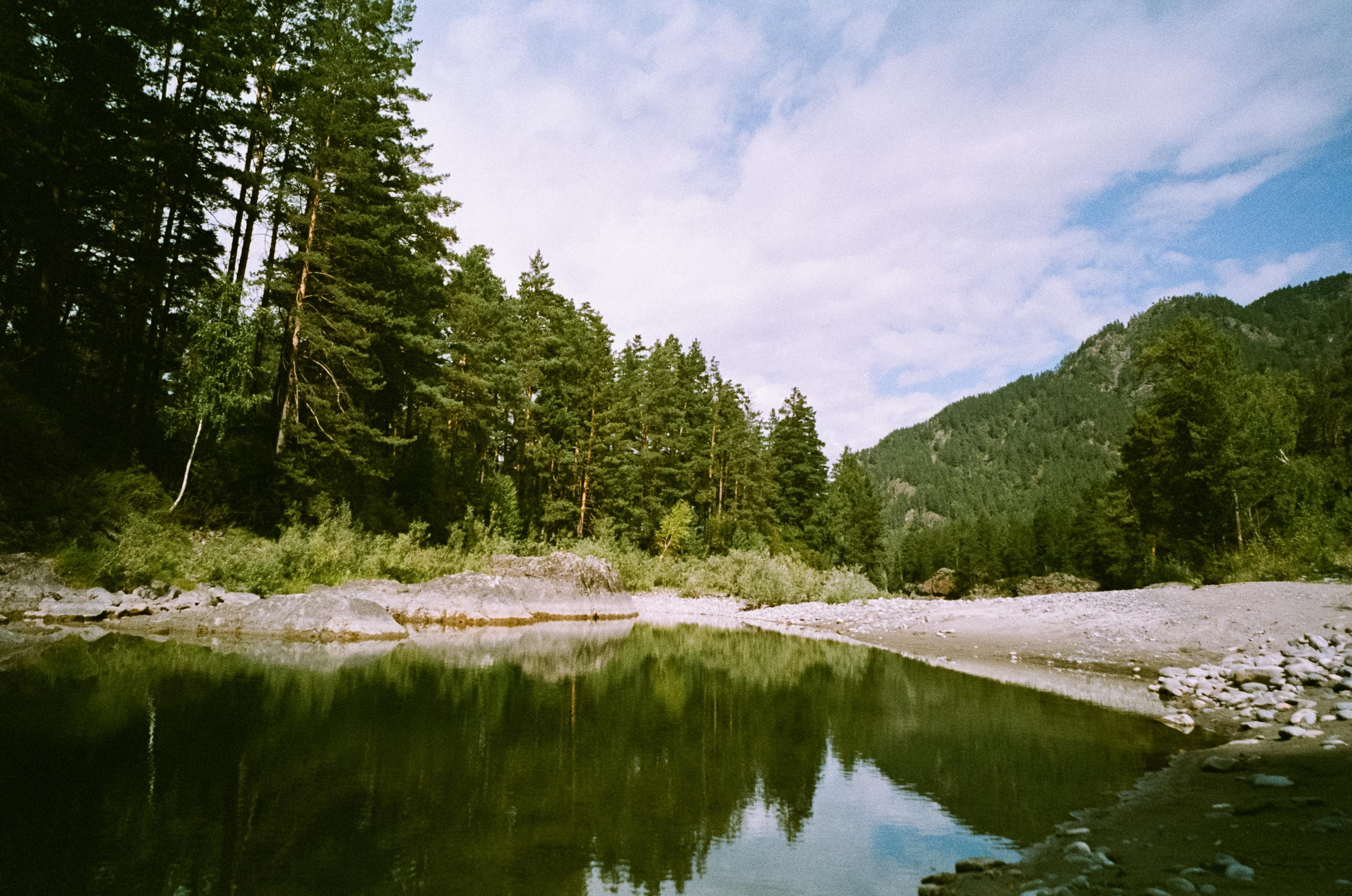 Катуньские ванночки / Agfacolor pro 200 (просрочка) / Contax G1 Carl Z