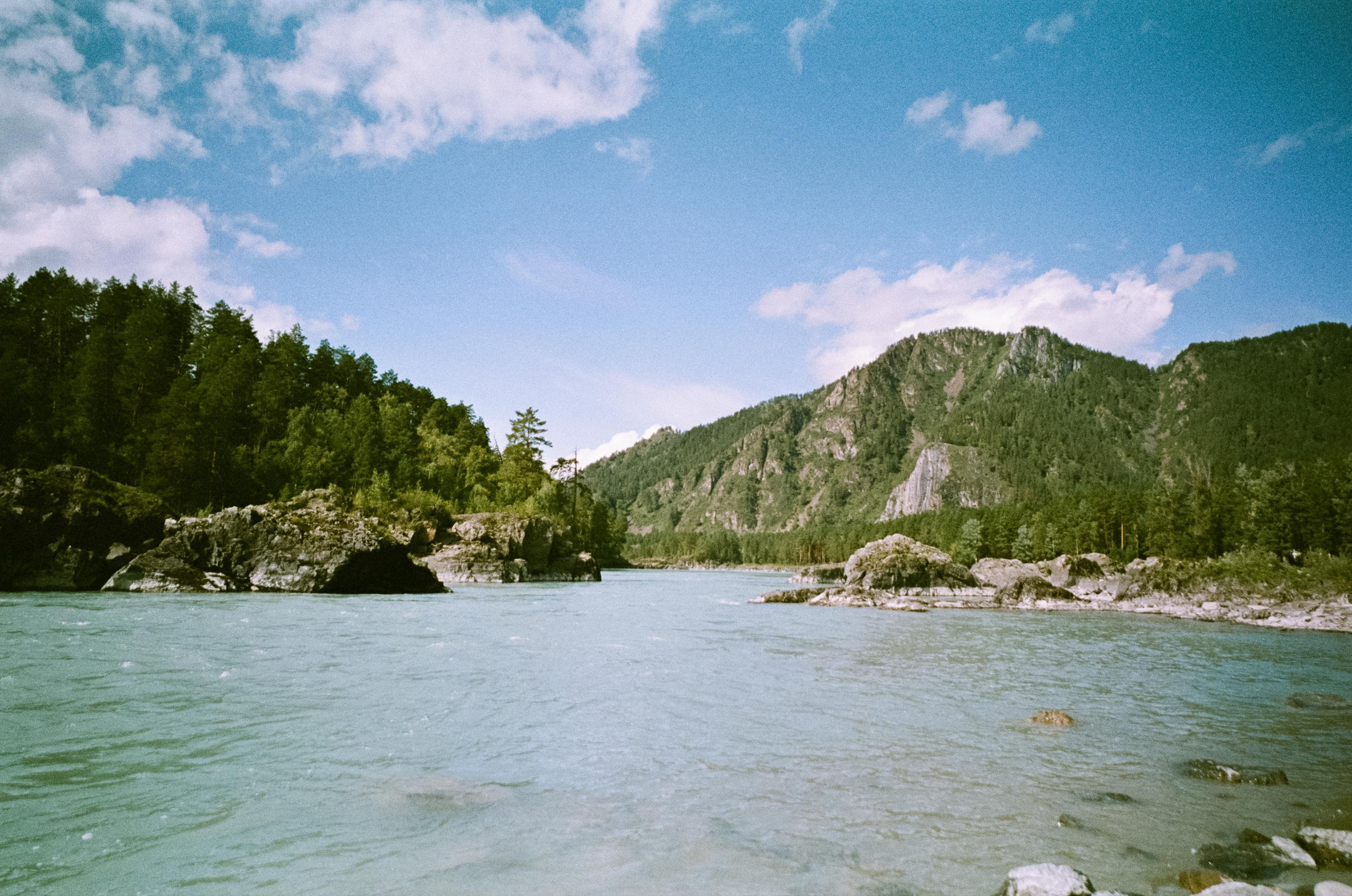 Катуньские ванночки / Agfacolor pro 200 (просрочка) / Contax G1 Carl Z