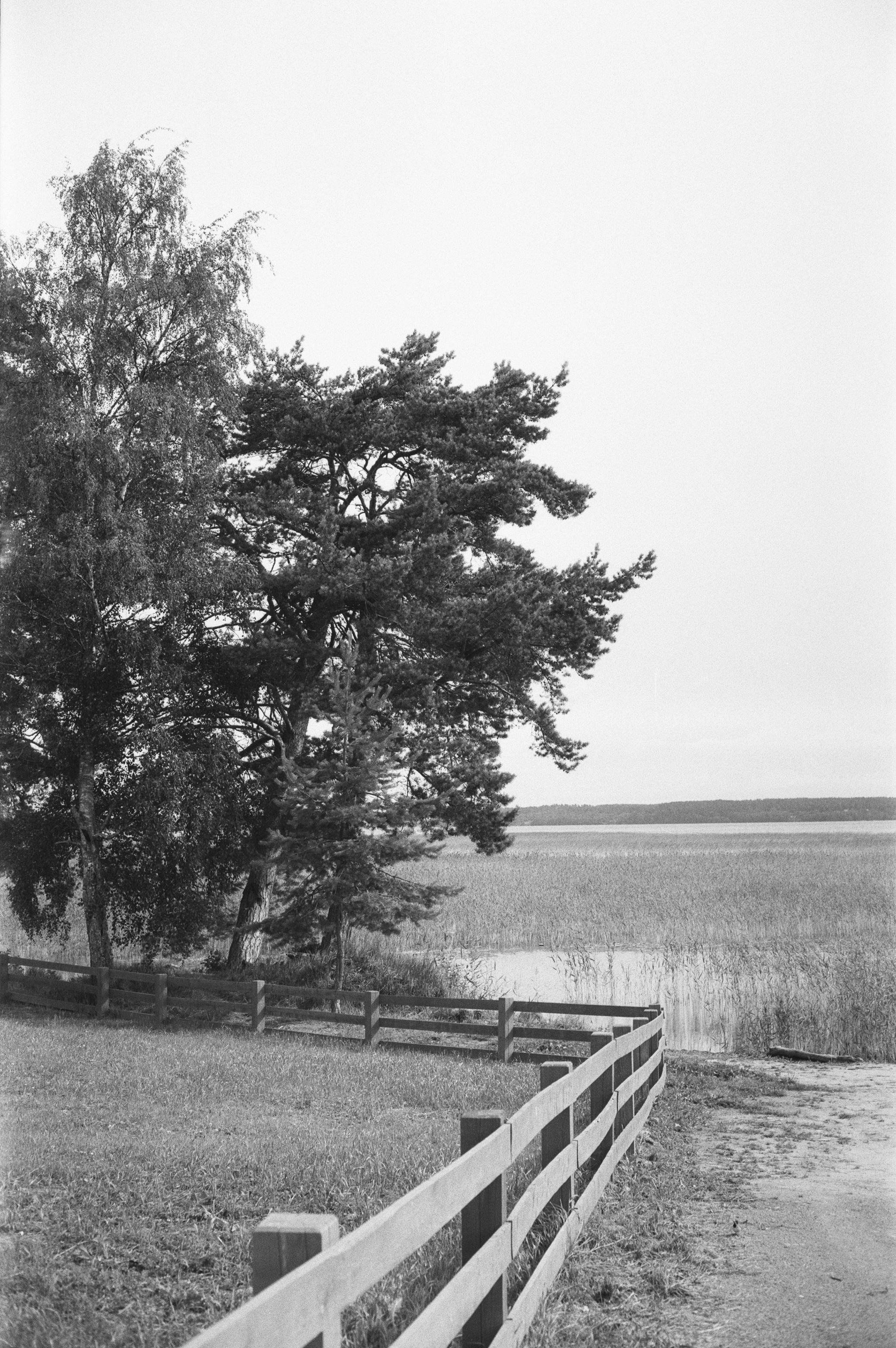 Фотосессия у Дубль дома у озера Отрадное (Приозерск)