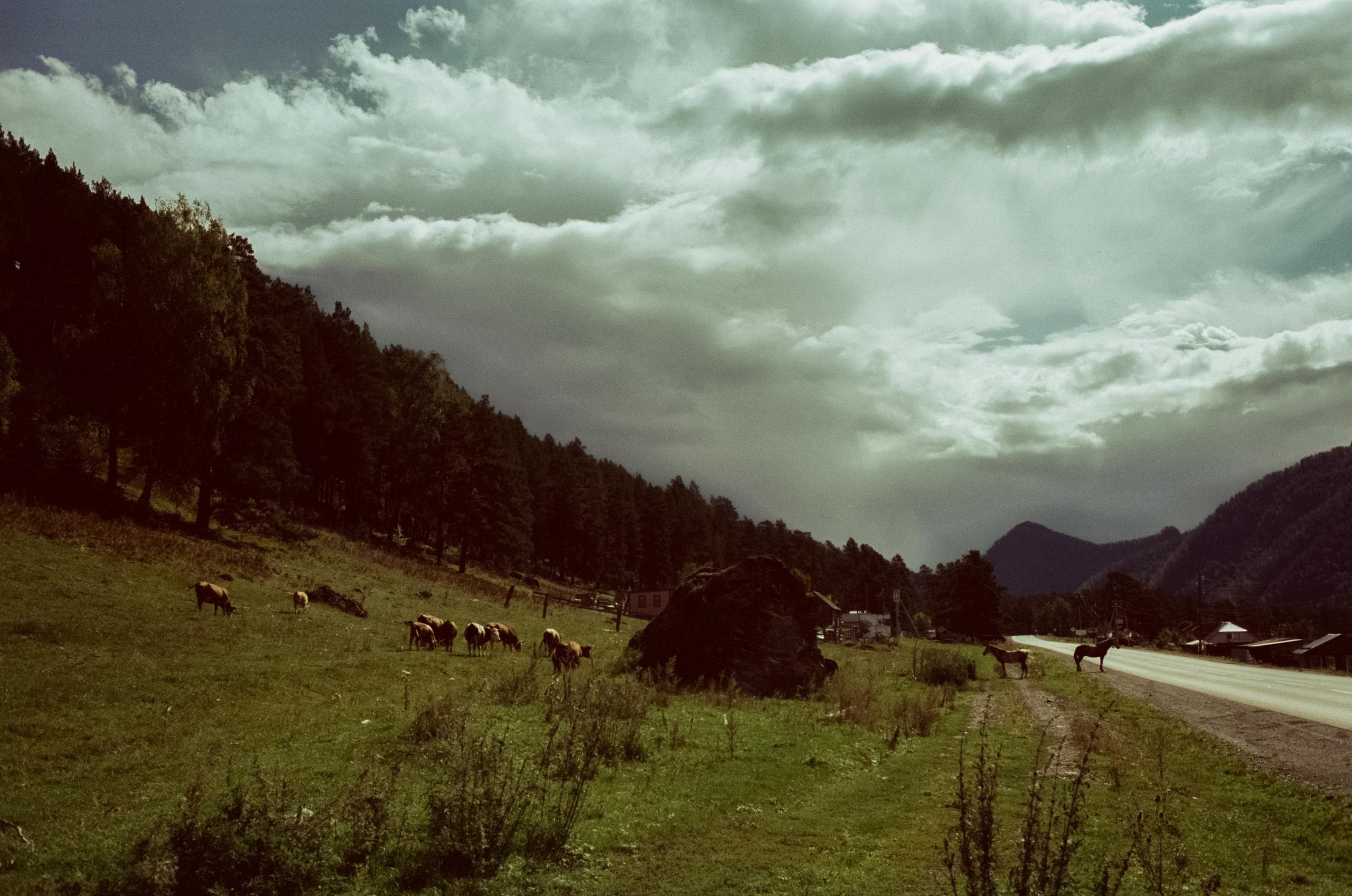 Самые красивые места Чемальского тракта на фотопленку